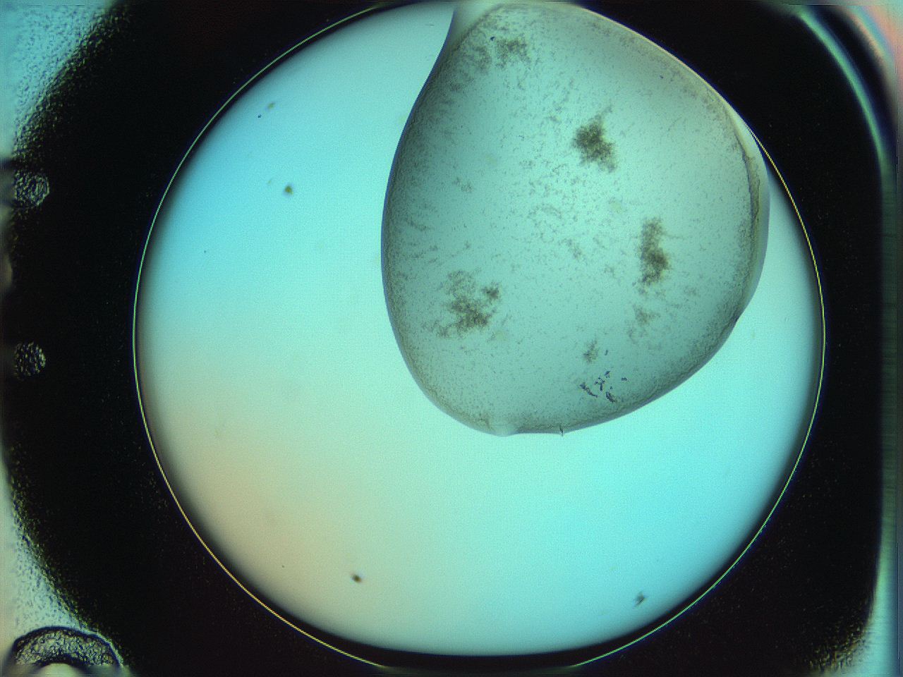 06af_E10_ImagerDefaults_3.jpg