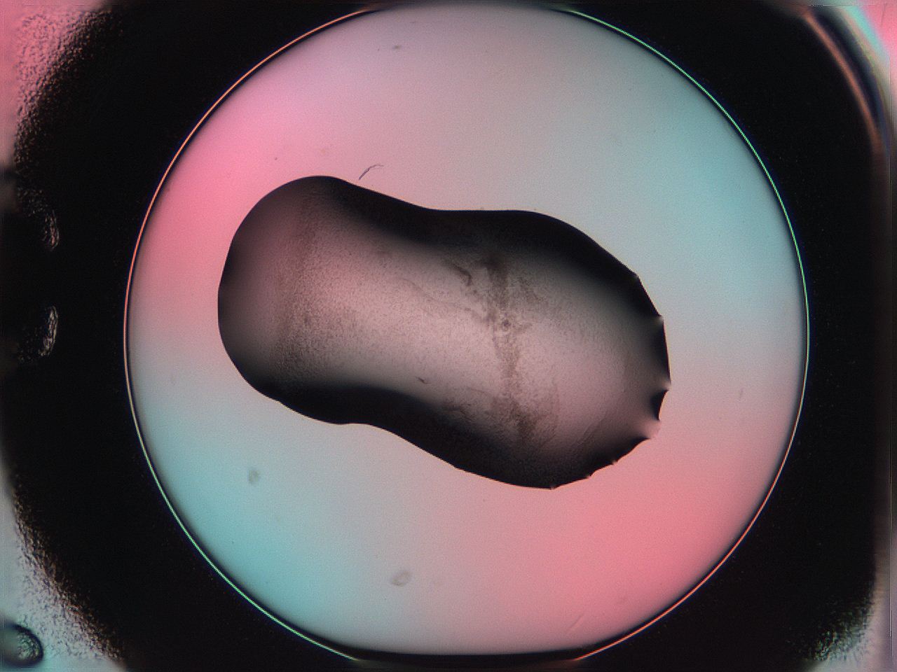06ag_C6_ImagerDefaults_3.jpg