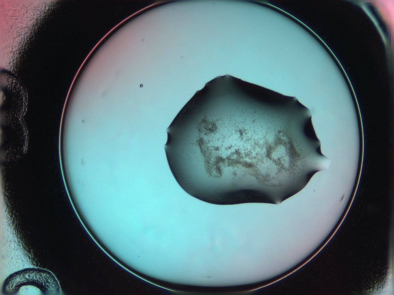 06ag_B12_ImagerDefaults_3.jpg