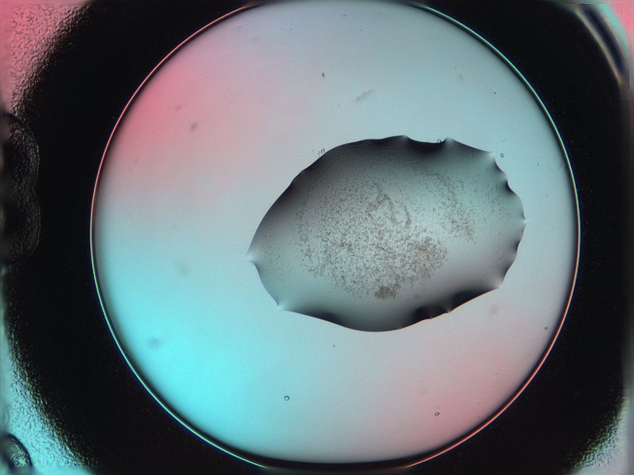 06ag_B9_ImagerDefaults_3.jpg
