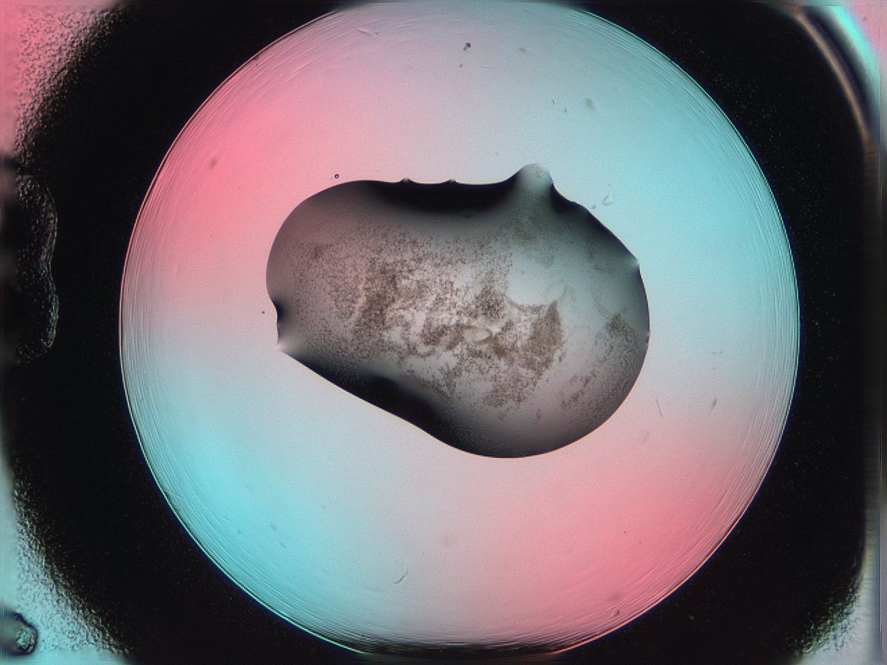 06ag_B6_ImagerDefaults_3.jpg