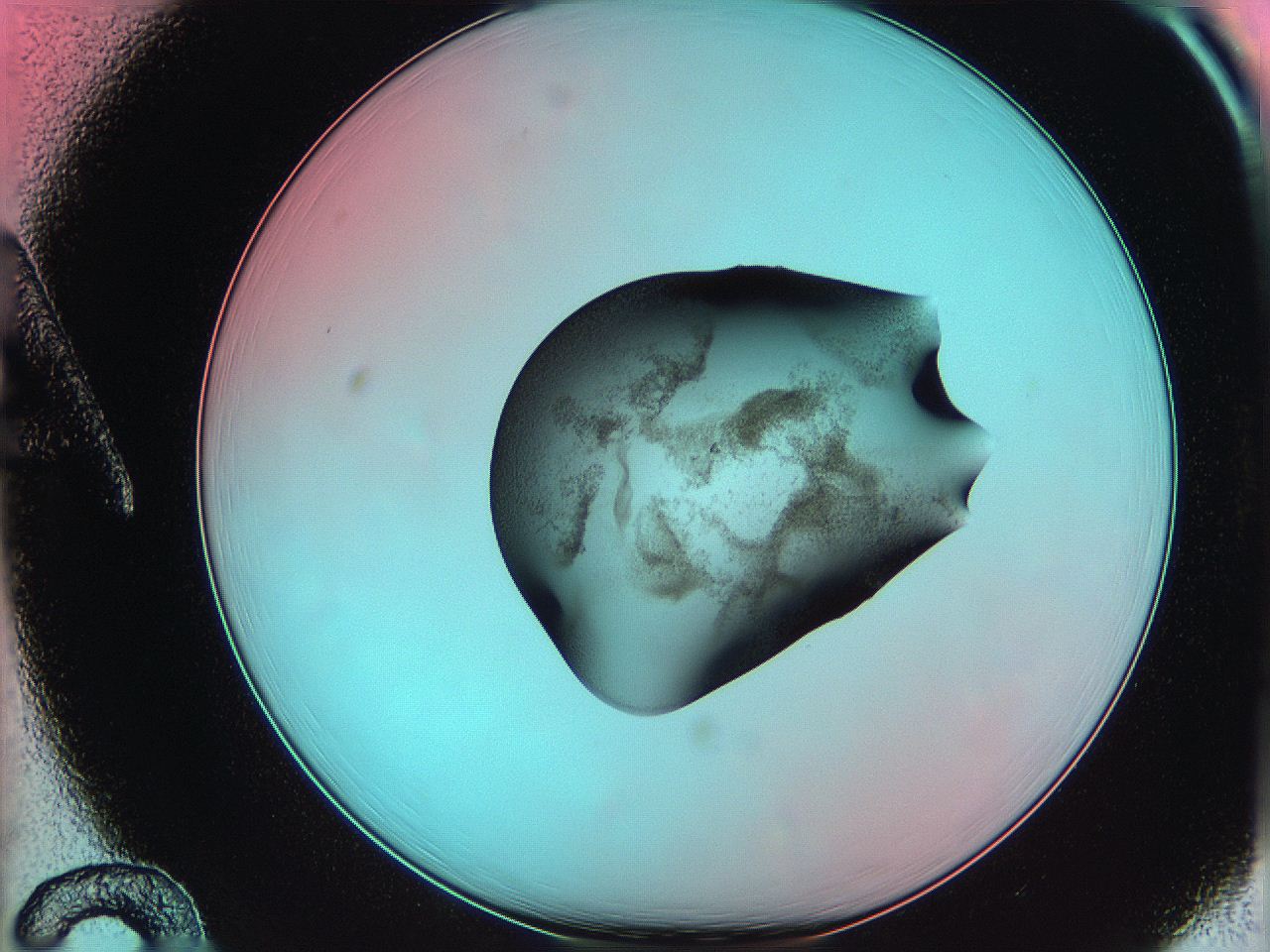 06ag_A12_ImagerDefaults_3.jpg