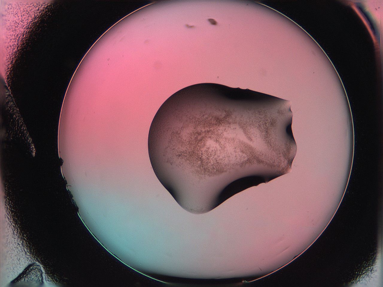 06ag_A11_ImagerDefaults_3.jpg