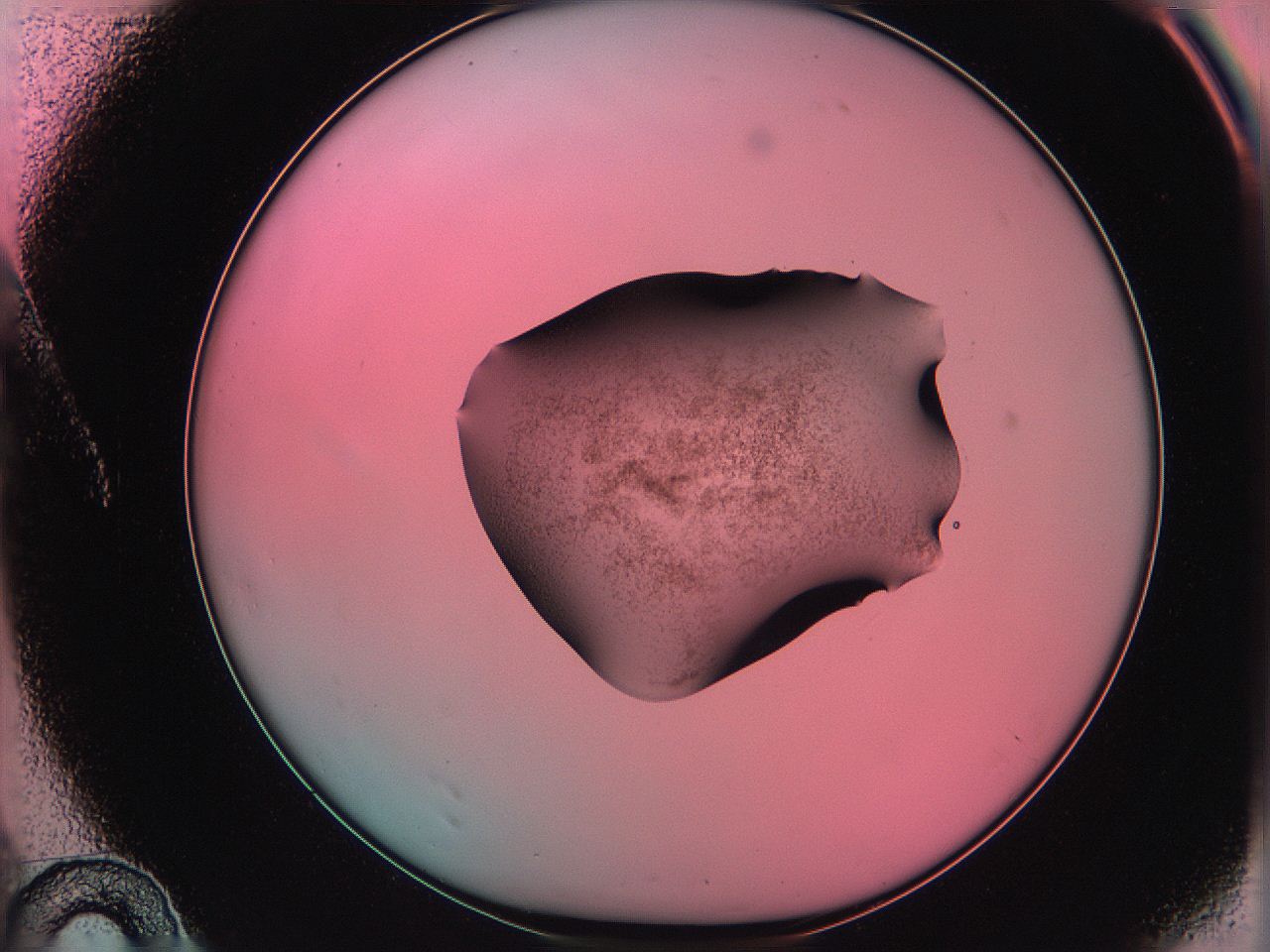 06ag_A10_ImagerDefaults_3.jpg