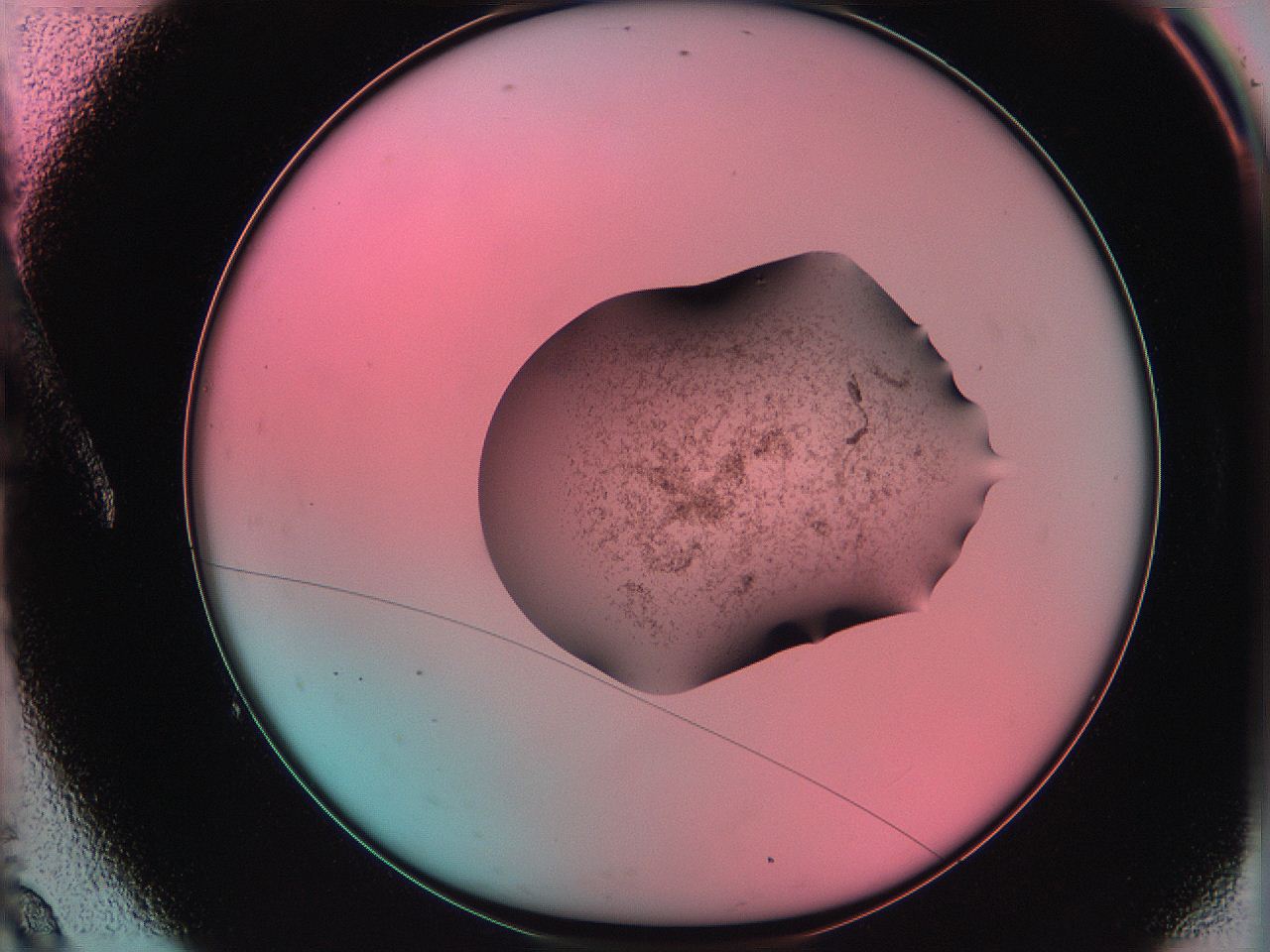 06ag_A9_ImagerDefaults_3.jpg