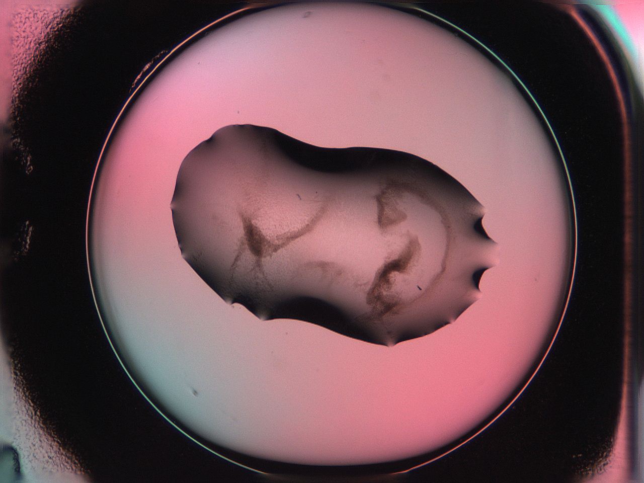 06ag_C4_ImagerDefaults_3.jpg