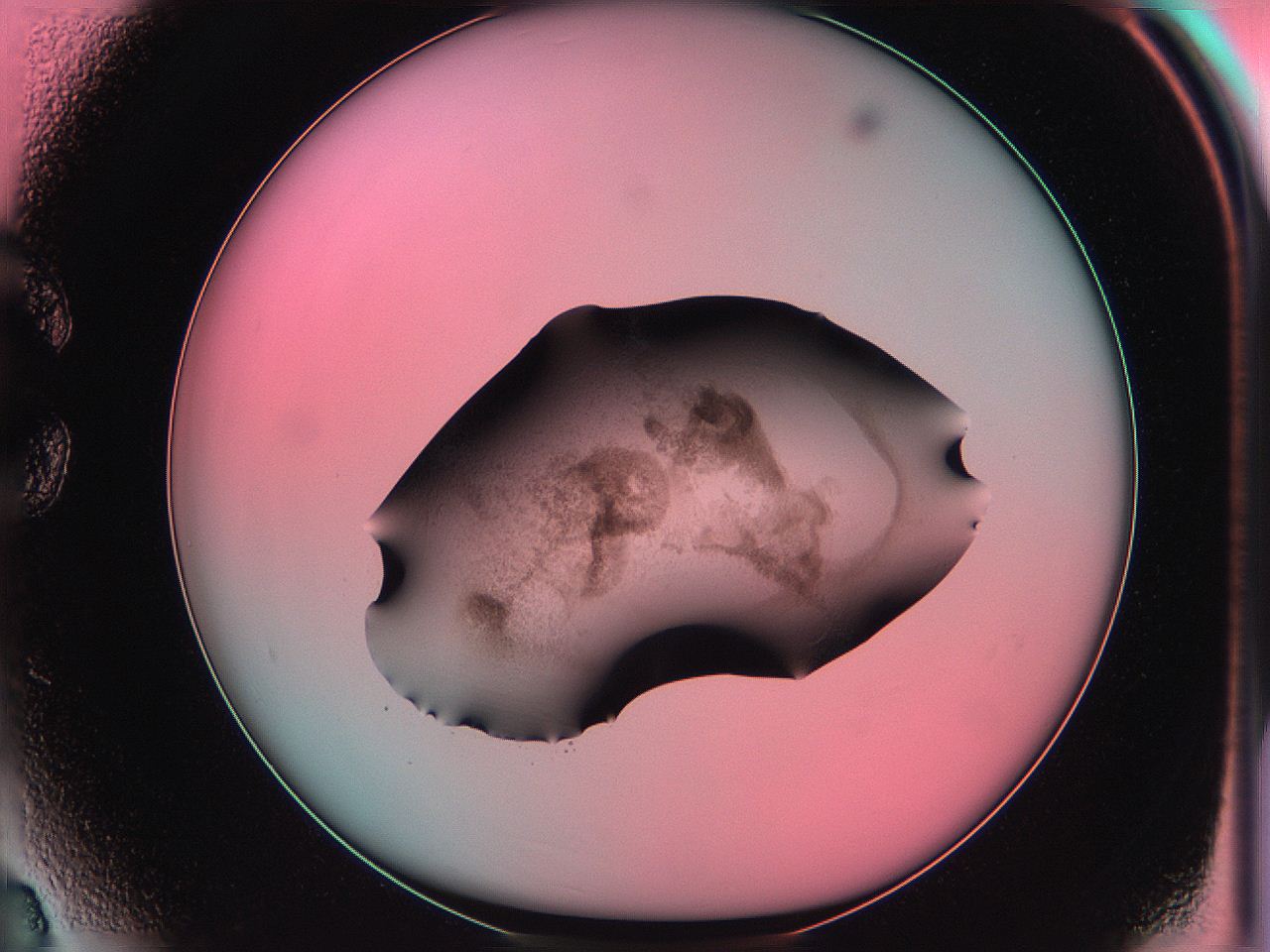 06ag_C3_ImagerDefaults_3.jpg