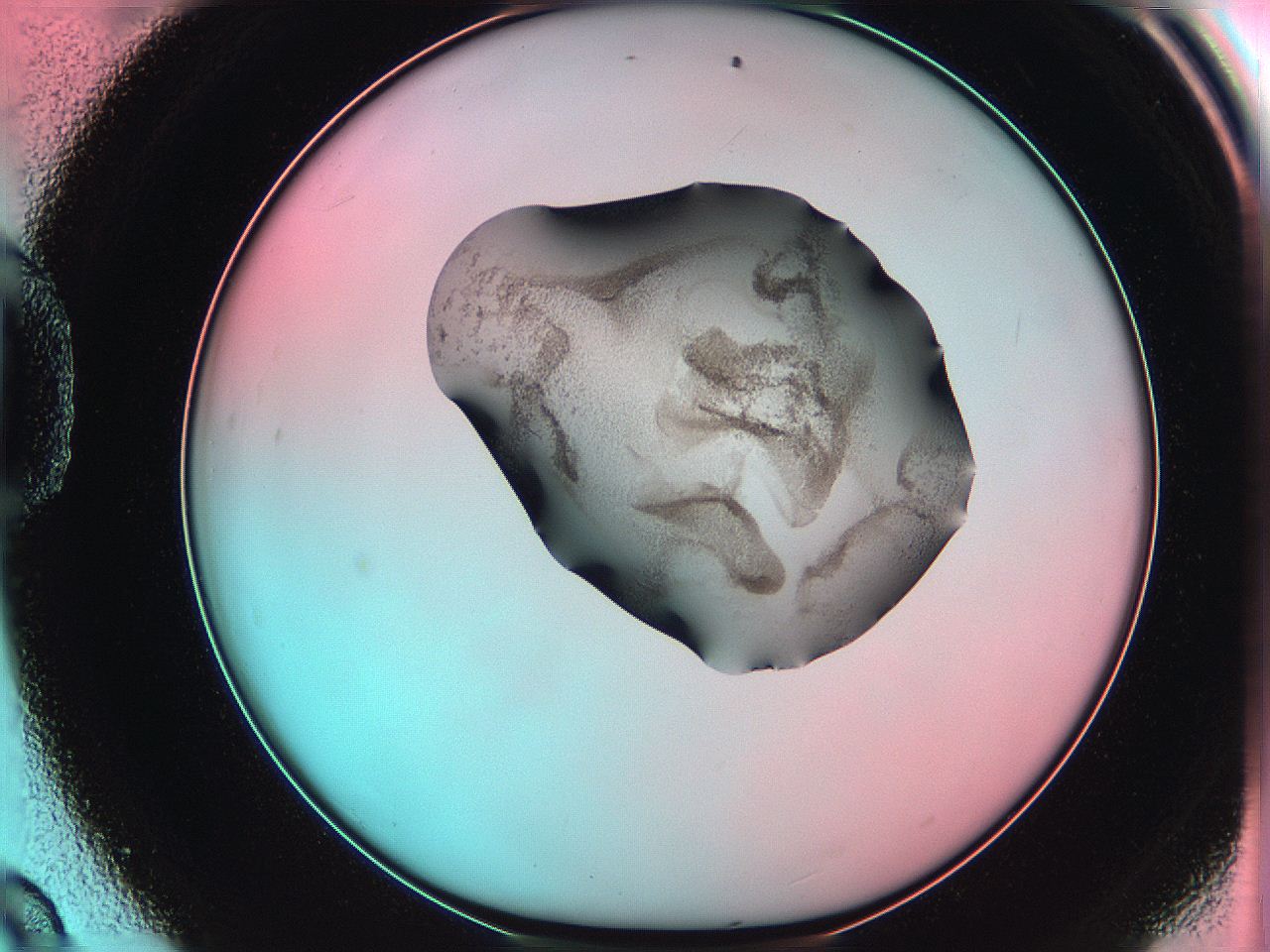 06ag_D9_ImagerDefaults_3.jpg