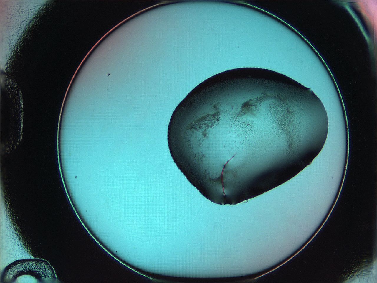 06ag_D12_ImagerDefaults_3.jpg