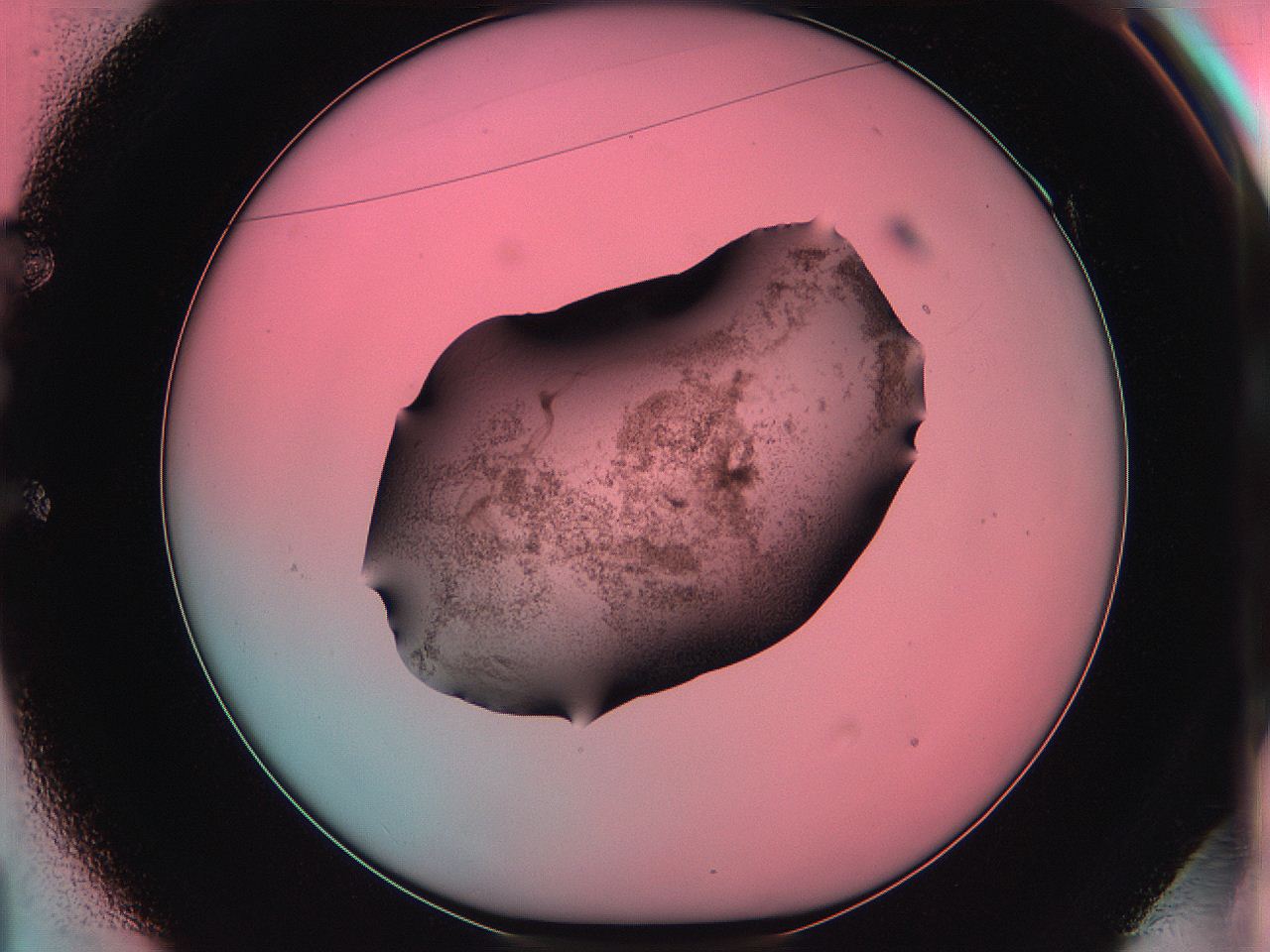06ag_E1_ImagerDefaults_3.jpg