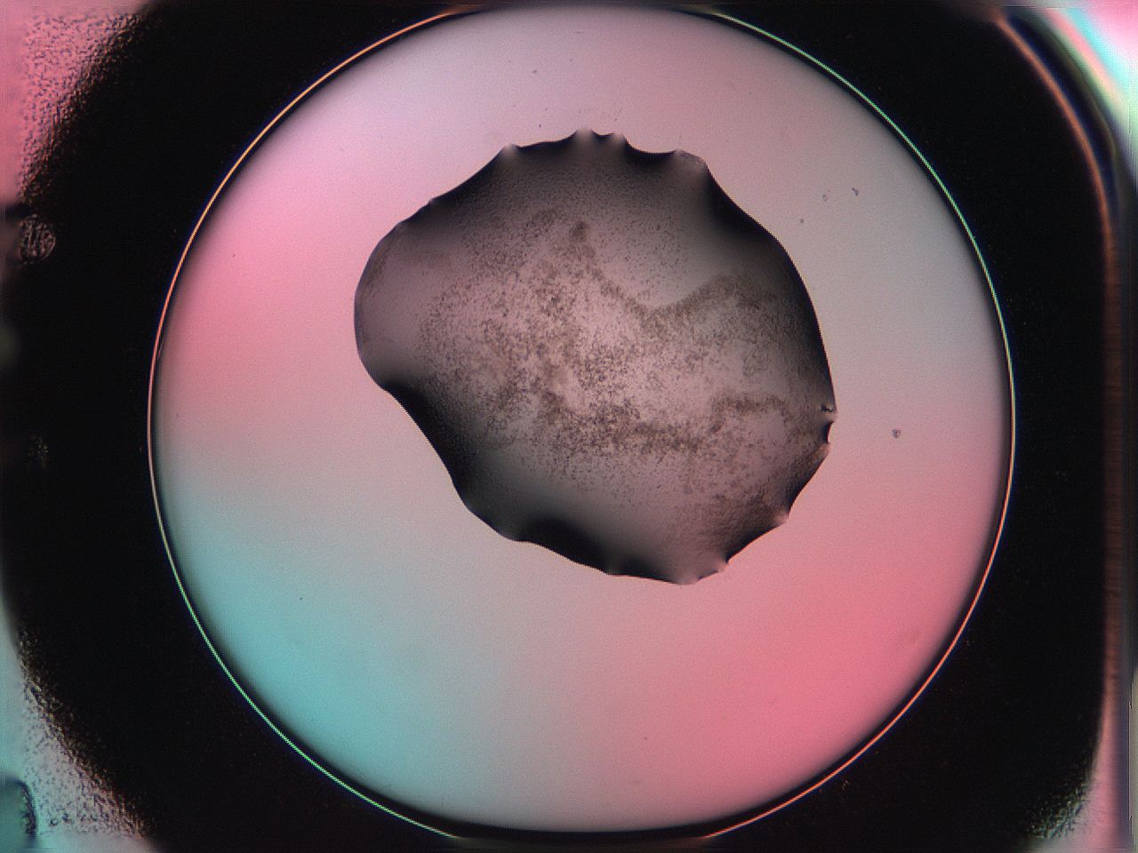 06ag_E4_ImagerDefaults_3.jpg