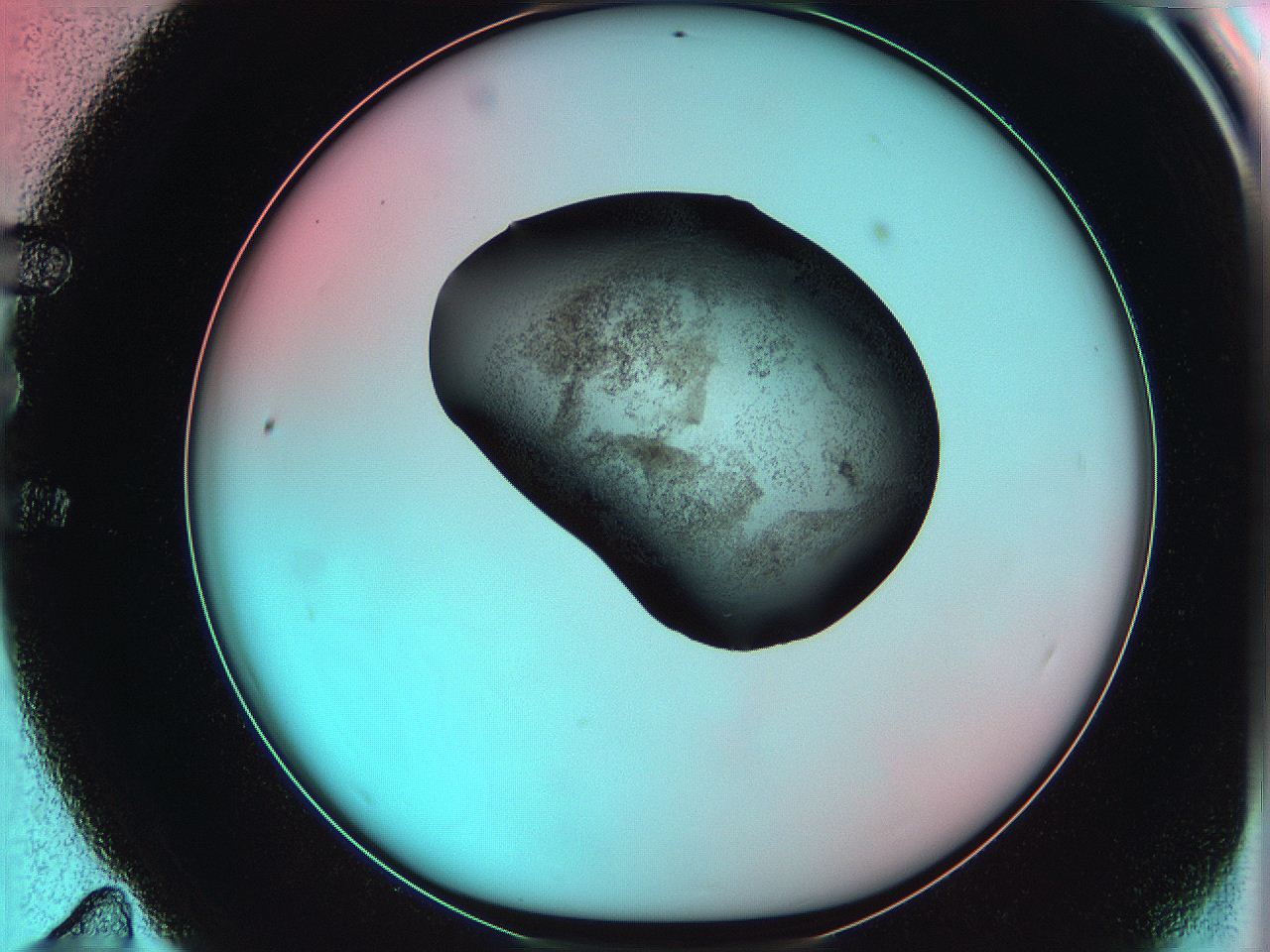 06ag_E11_ImagerDefaults_3.jpg
