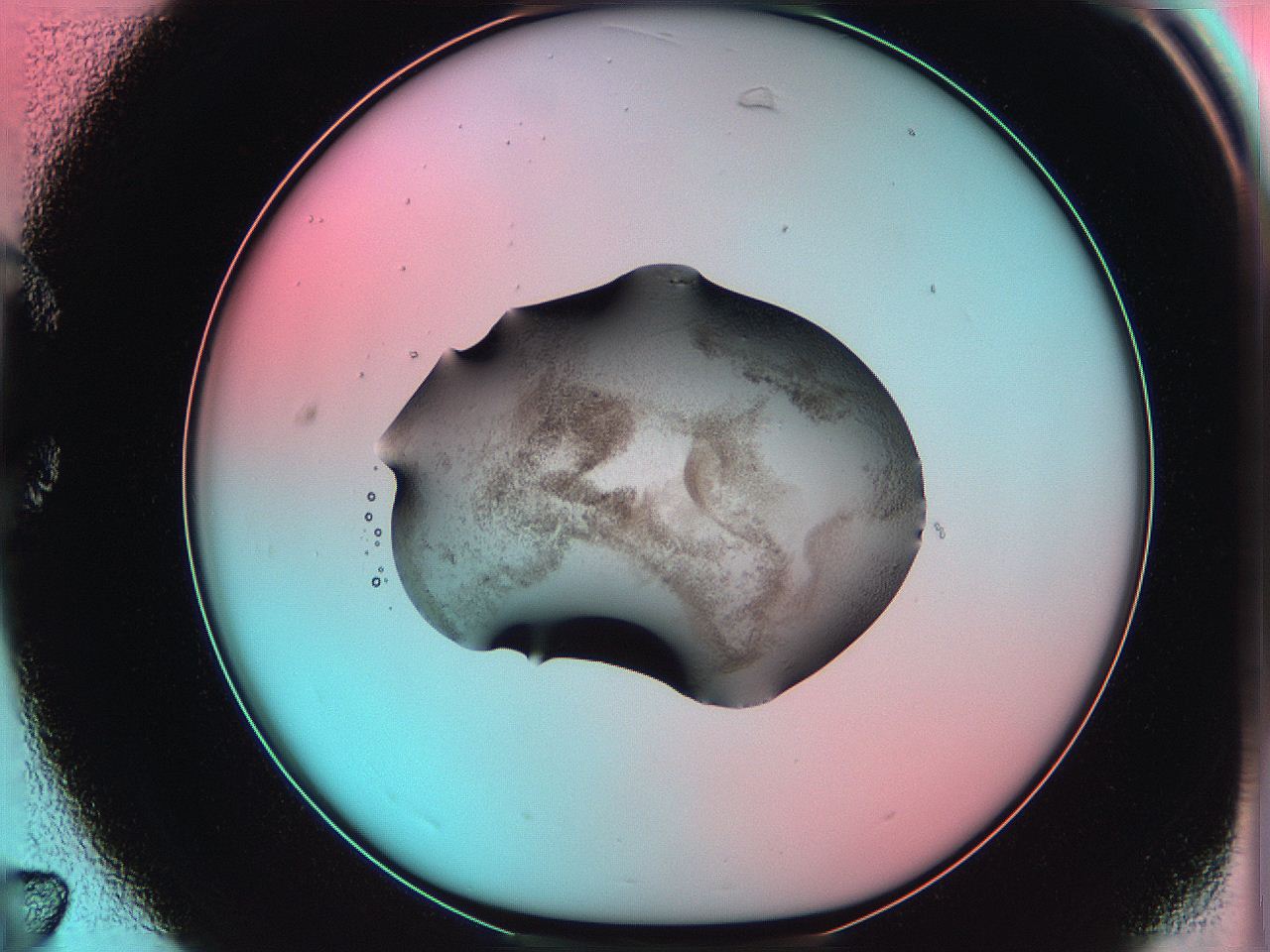 06ag_C7_ImagerDefaults_3.jpg