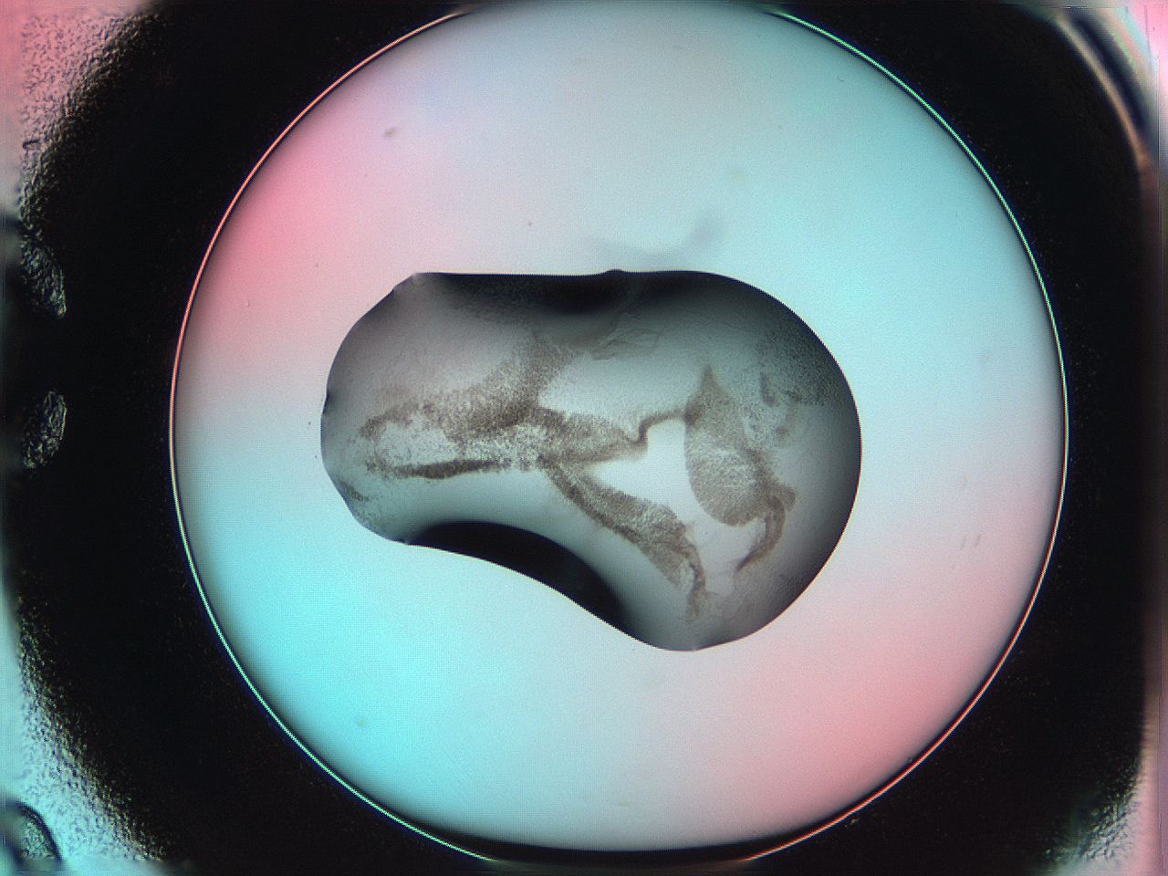 06ag_C9_ImagerDefaults_3.jpg
