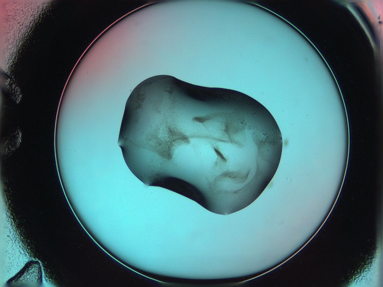 06ag_C11_ImagerDefaults_3.jpg