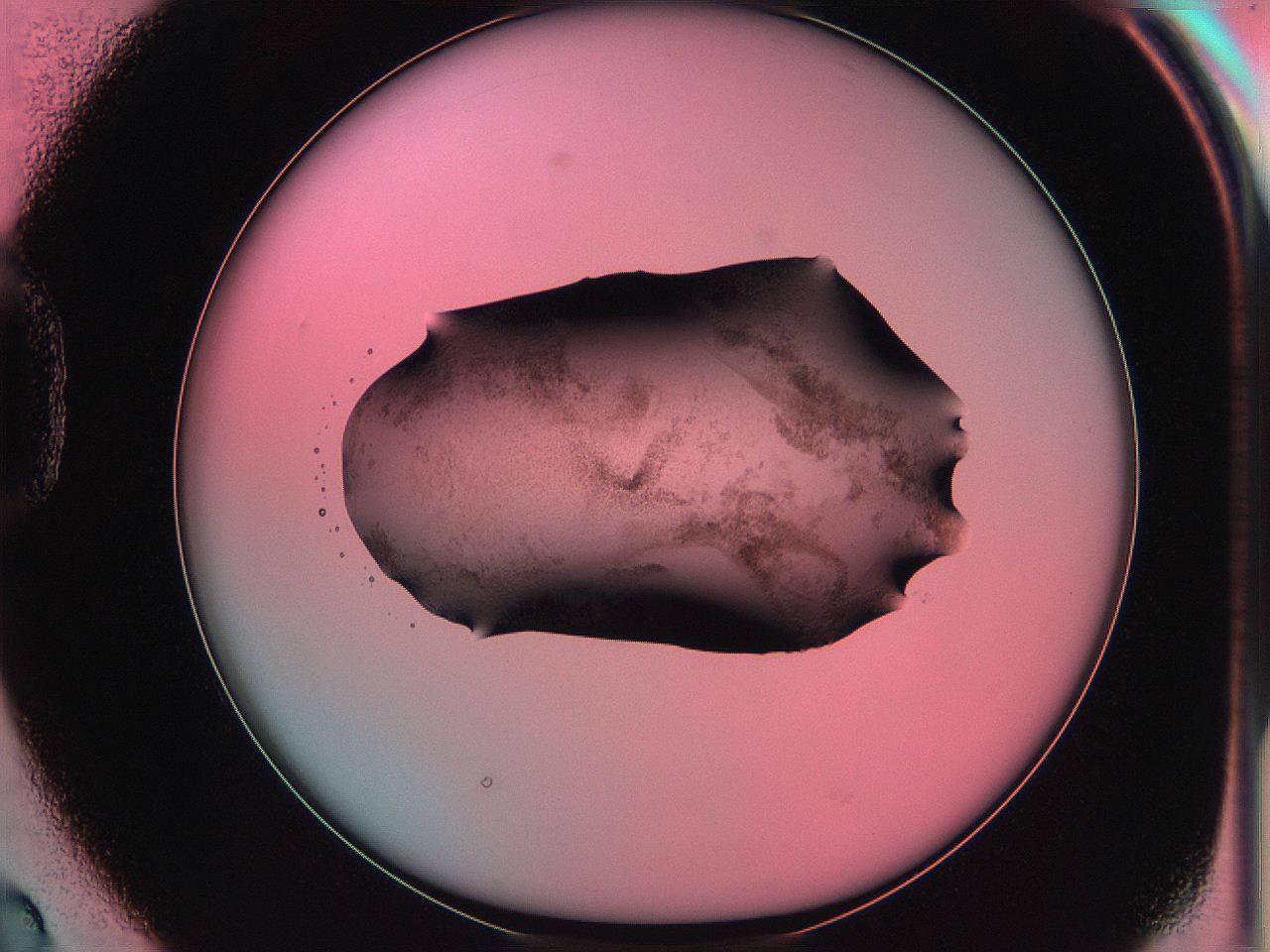06ag_D2_ImagerDefaults_3.jpg