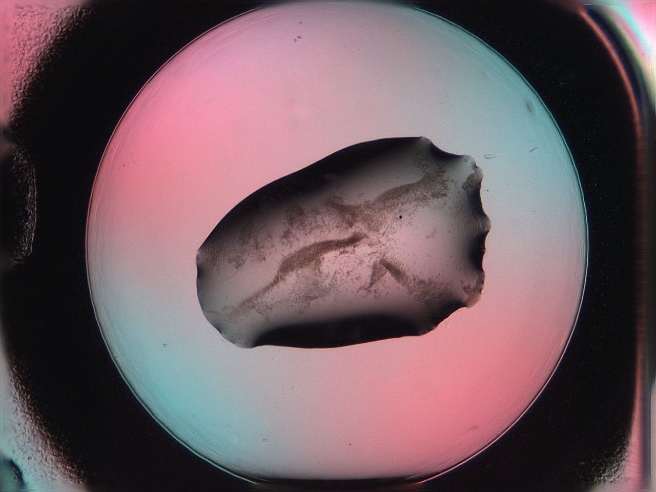 06ag_D3_ImagerDefaults_3.jpg