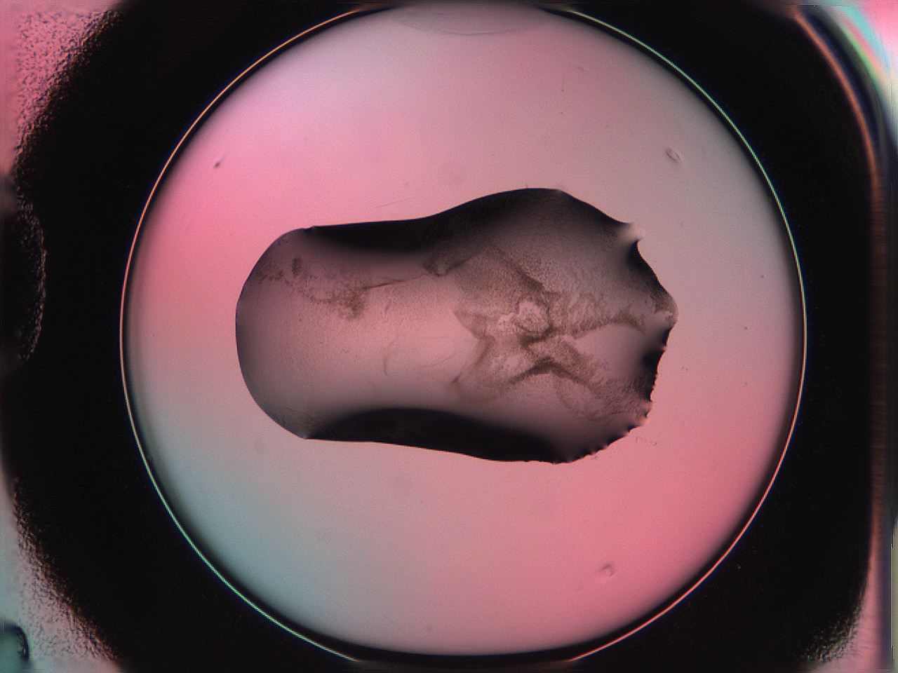 06ag_D4_ImagerDefaults_3.jpg