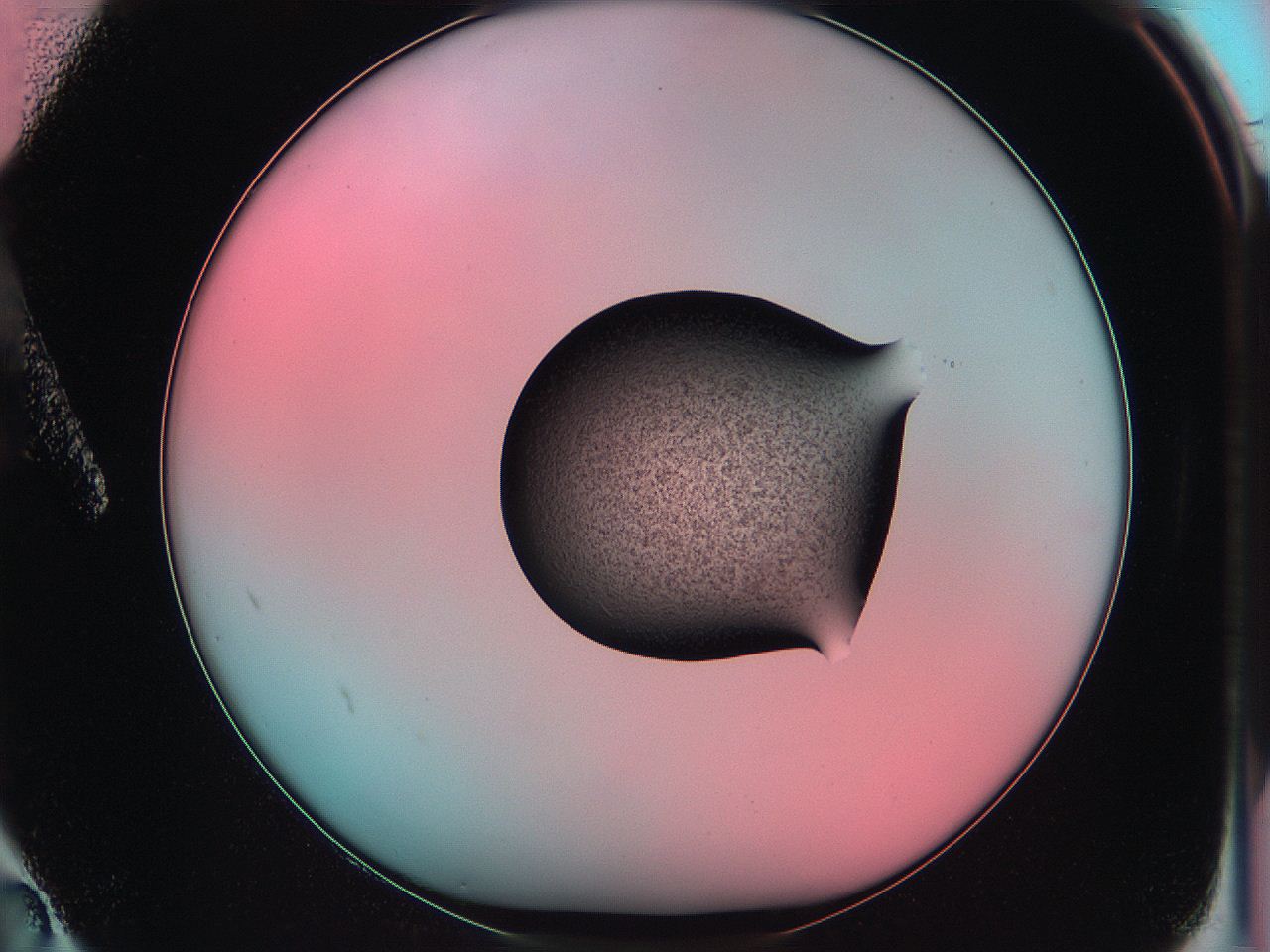 06ag_A2_ImagerDefaults_3.jpg