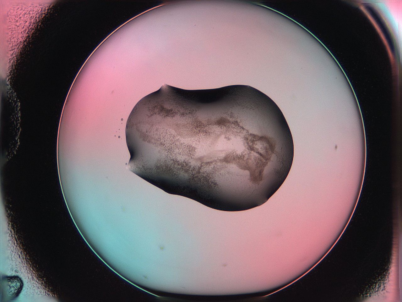 06ag_D7_ImagerDefaults_3.jpg