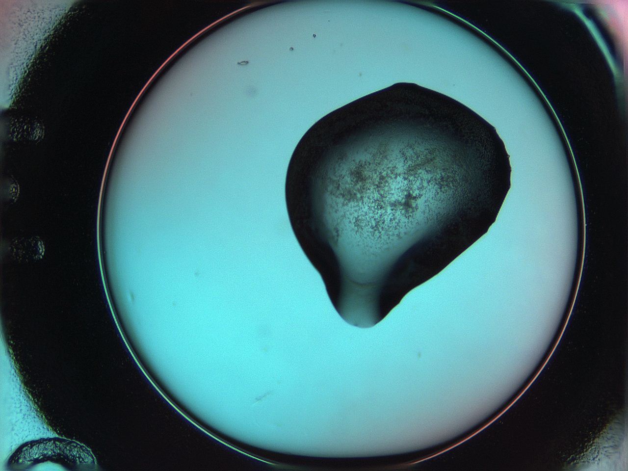 06ag_E12_ImagerDefaults_3.jpg