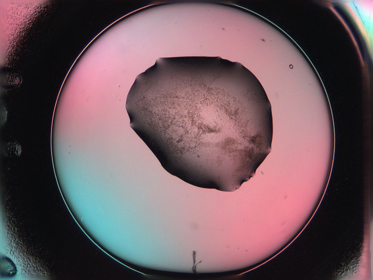 06ag_E6_ImagerDefaults_3.jpg