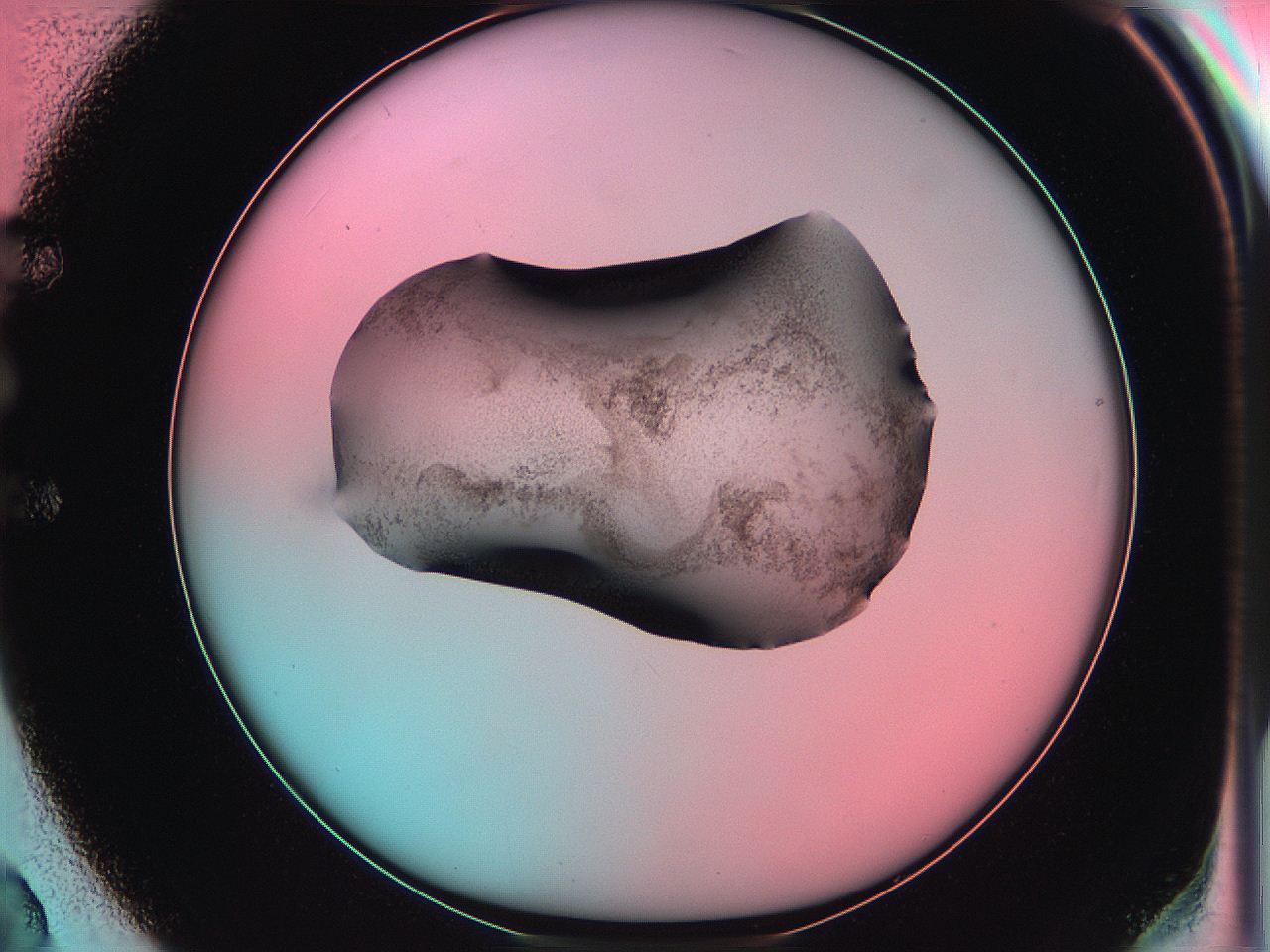 06ag_E2_ImagerDefaults_3.jpg