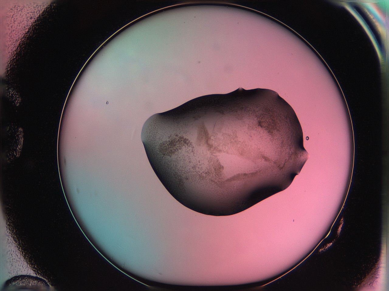 06ag_G10_ImagerDefaults_3.jpg