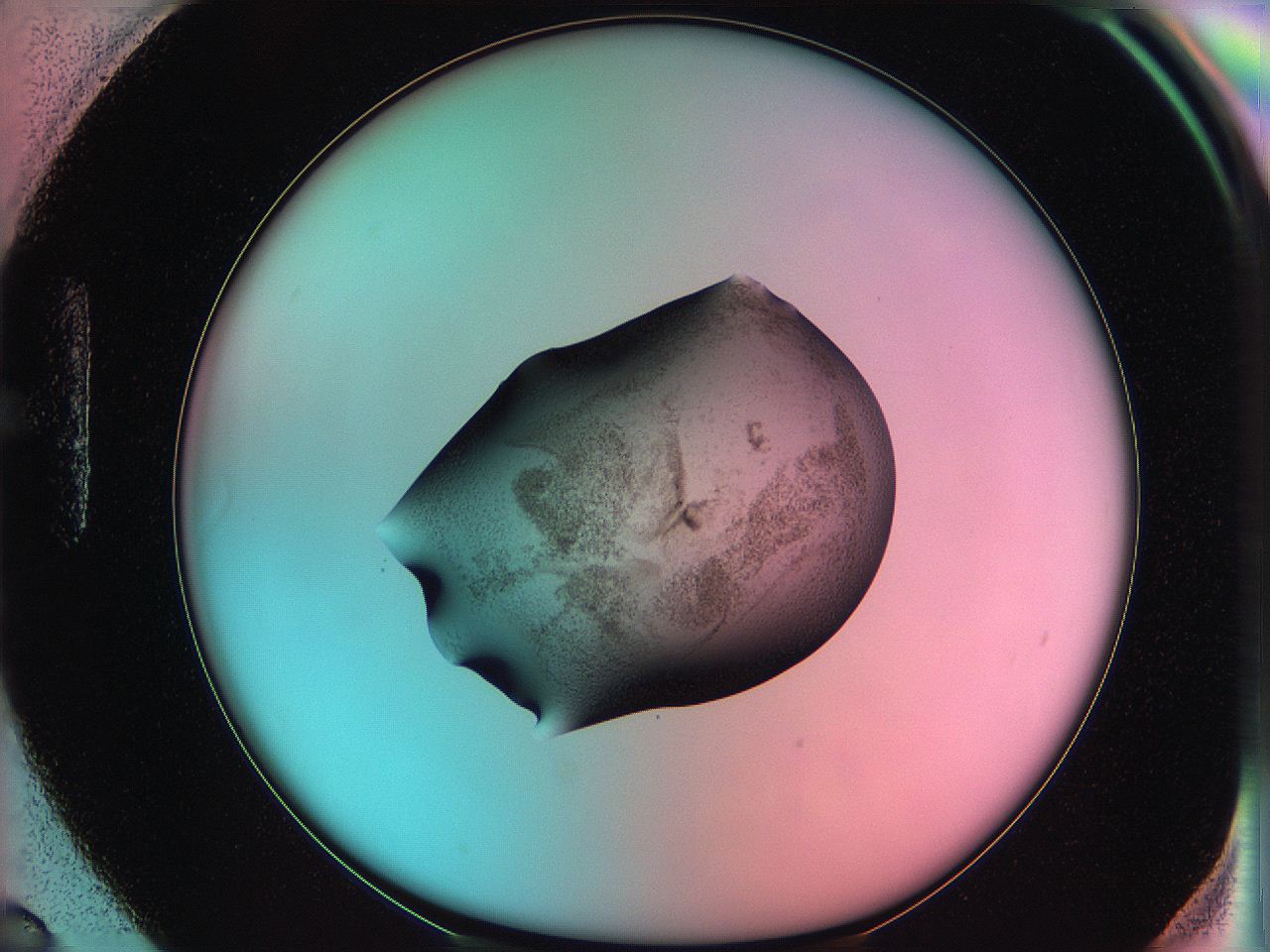 06ag_H6_ImagerDefaults_3.jpg