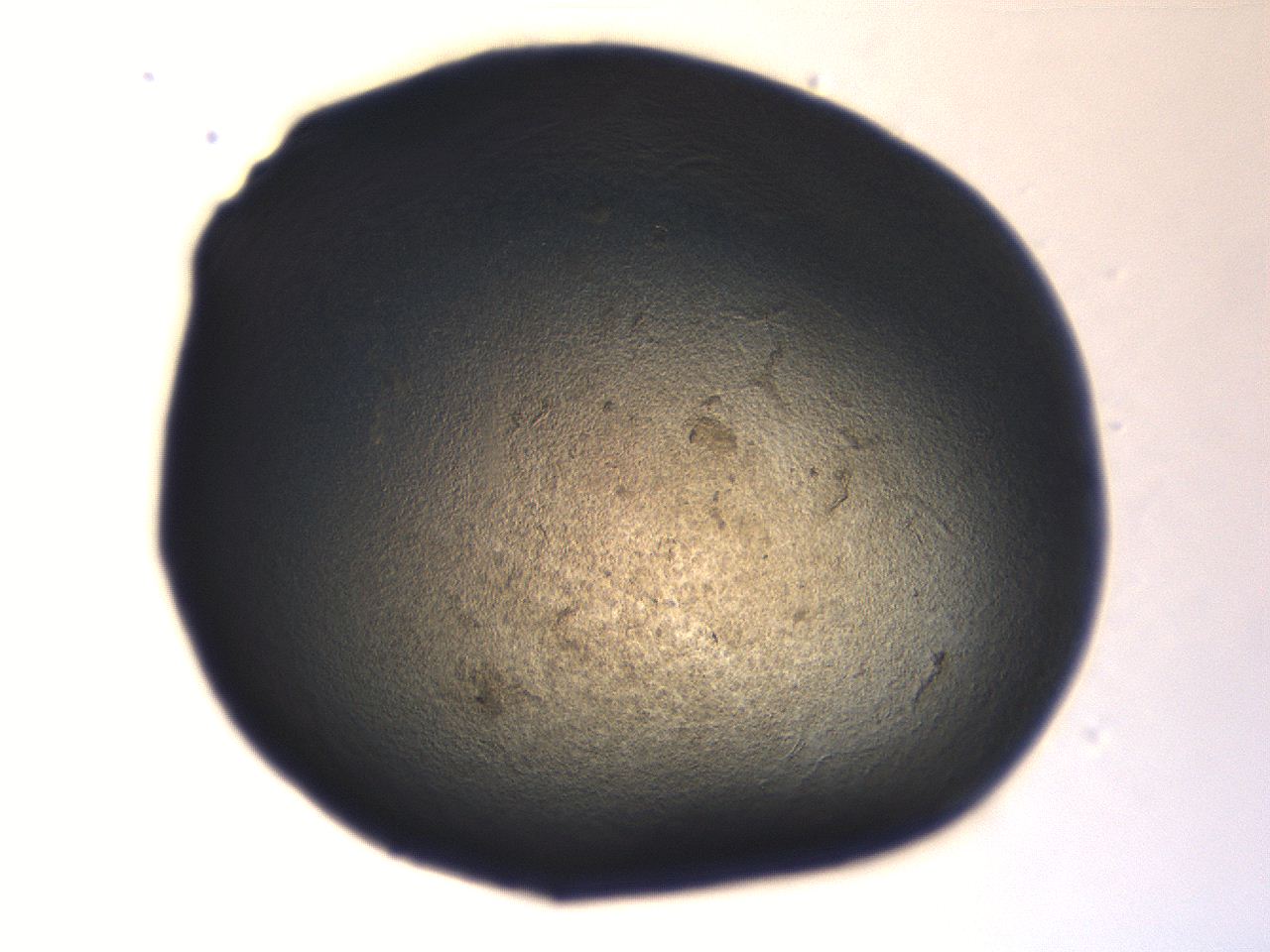 06aq_A1_ImagerDefaults_3.jpg