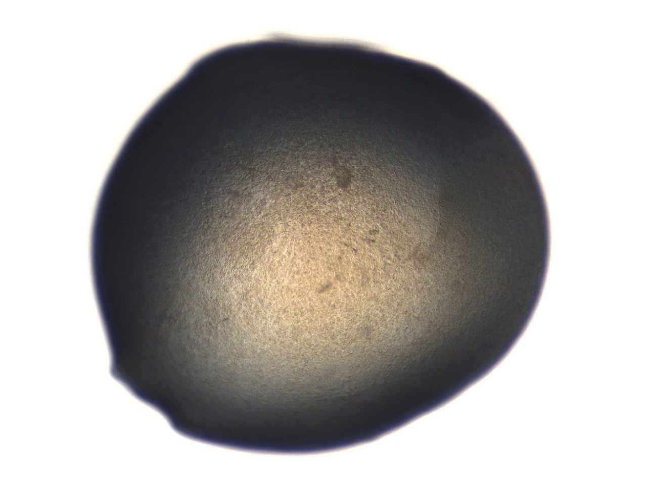 06aq_A3_ImagerDefaults_3.jpg