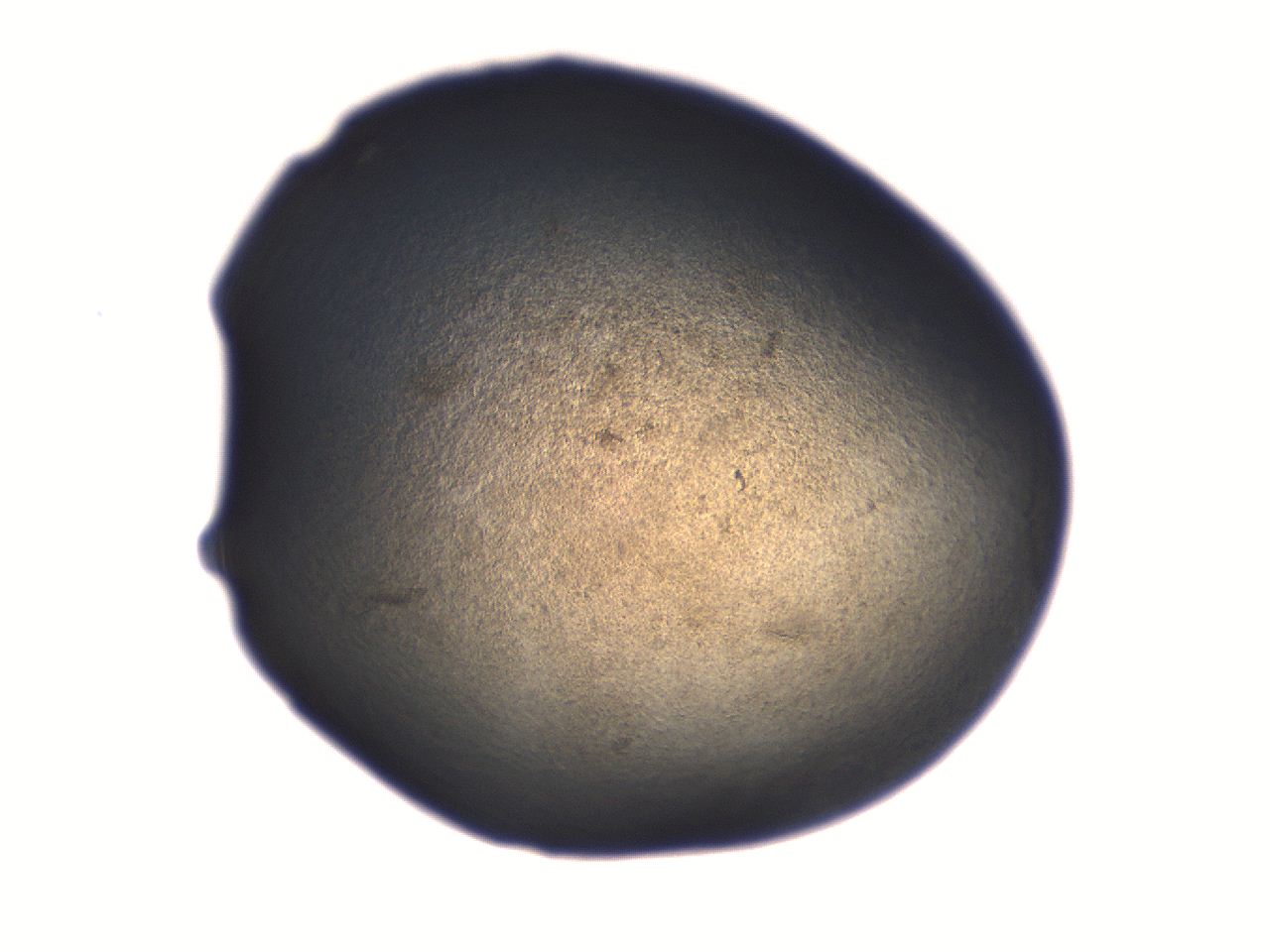 06aq_A4_ImagerDefaults_3.jpg
