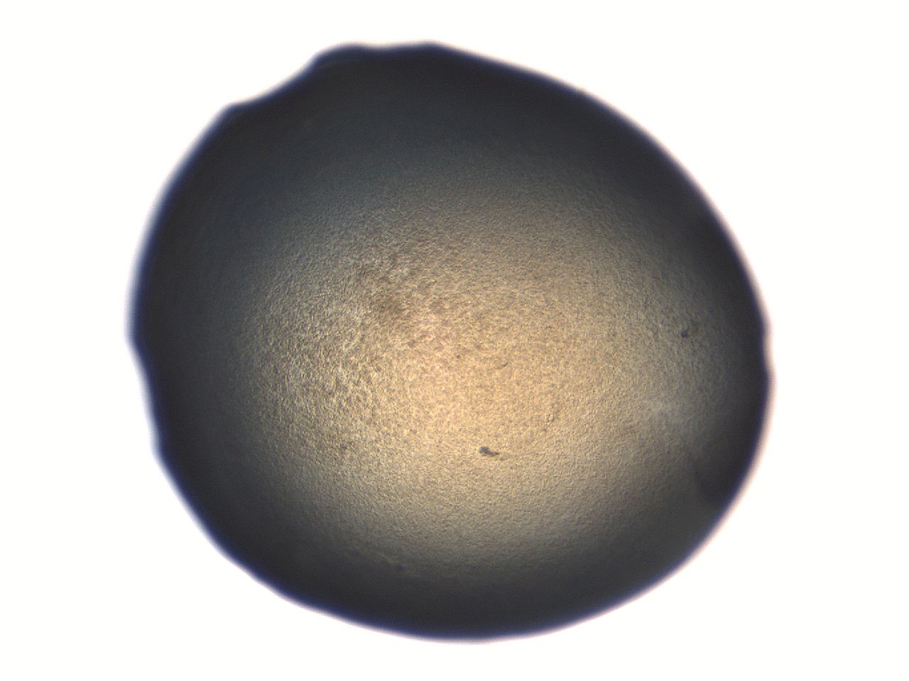 06aq_A6_ImagerDefaults_3.jpg