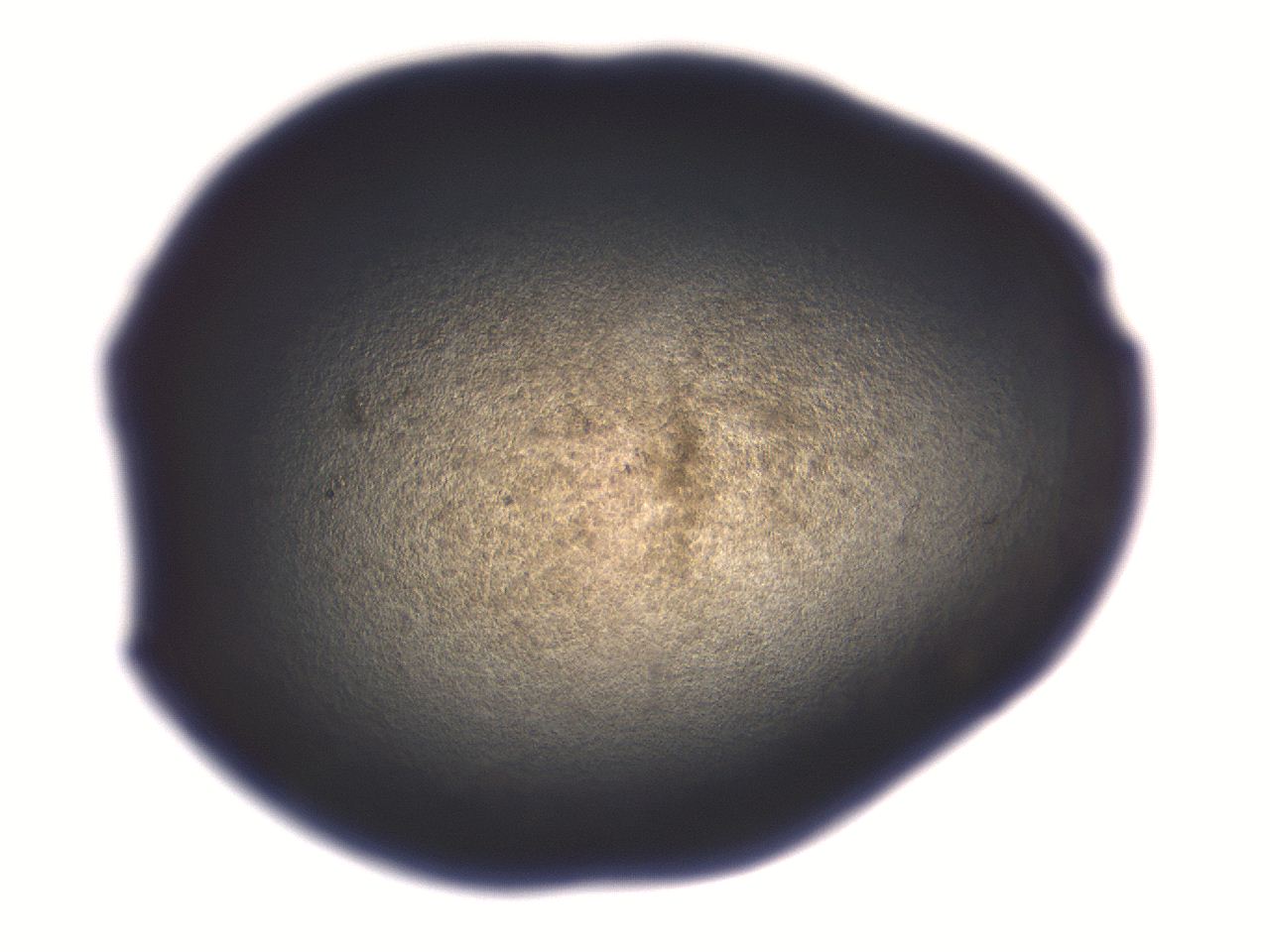 06aq_A7_ImagerDefaults_3.jpg