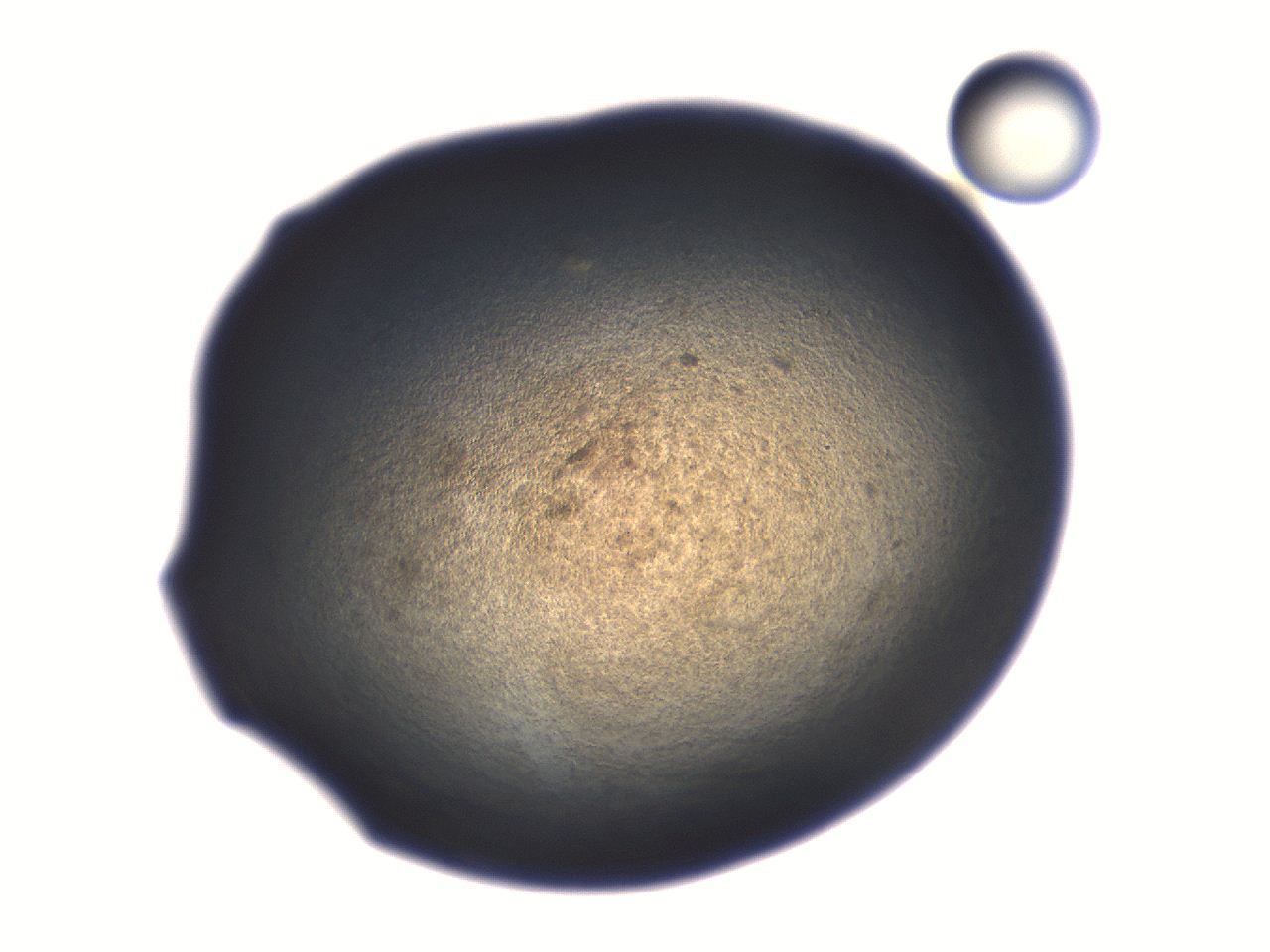 06aq_A8_ImagerDefaults_3.jpg