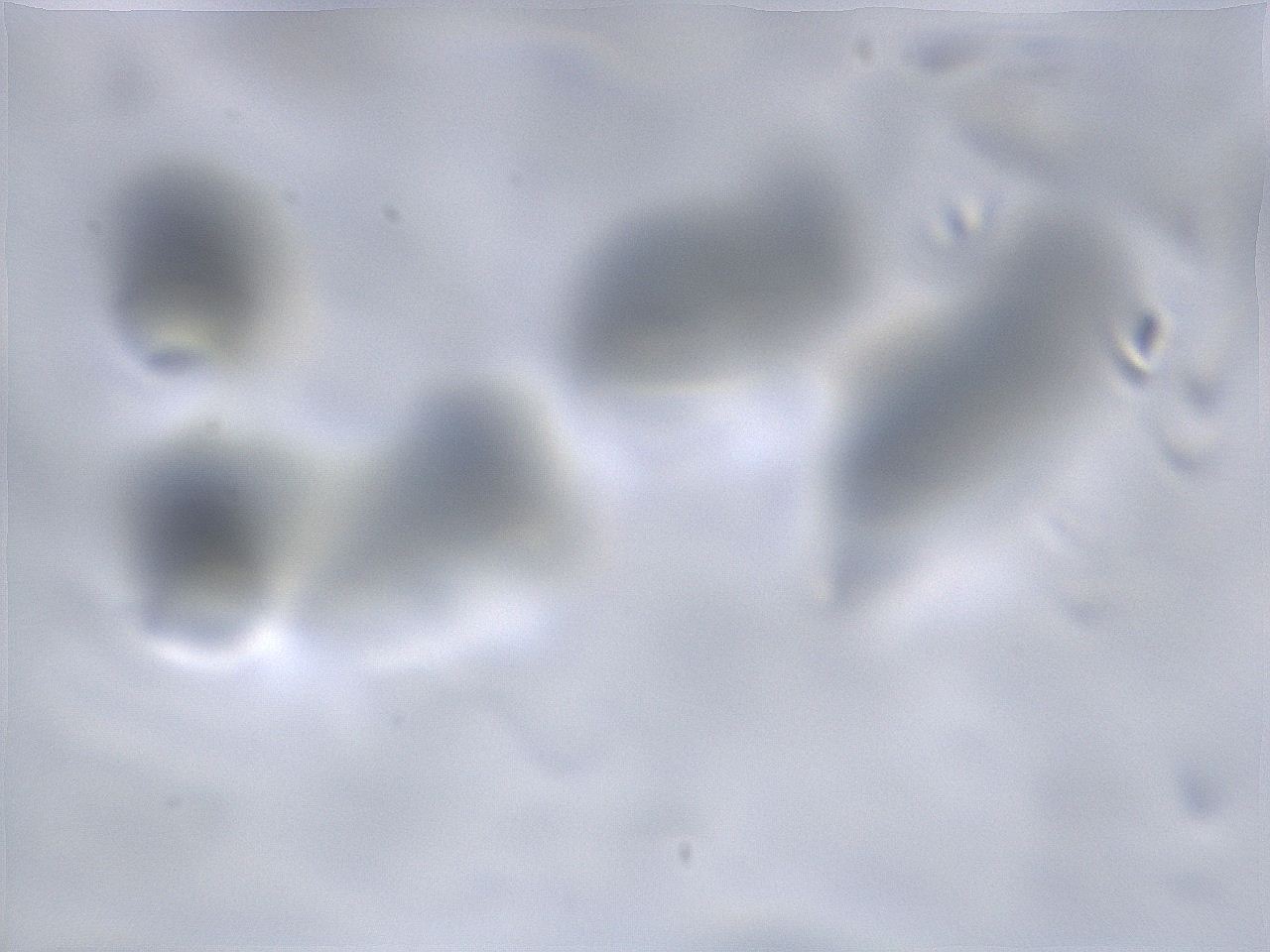06aq_A9_ImagerDefaults_m.jpg