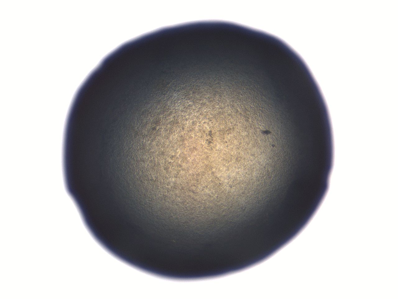 06aq_A12_ImagerDefaults_3.jpg