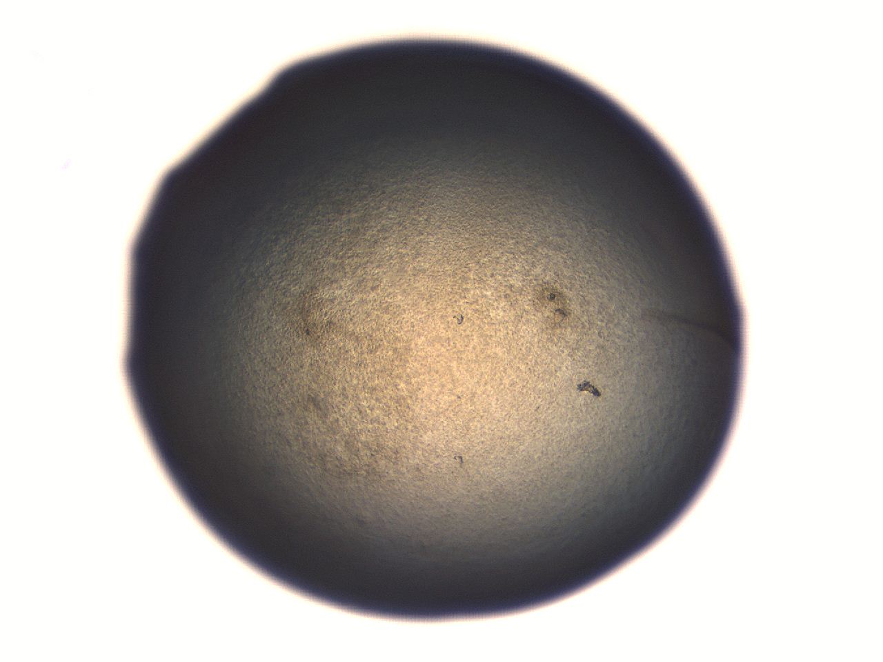 06aq_B3_ImagerDefaults_3.jpg