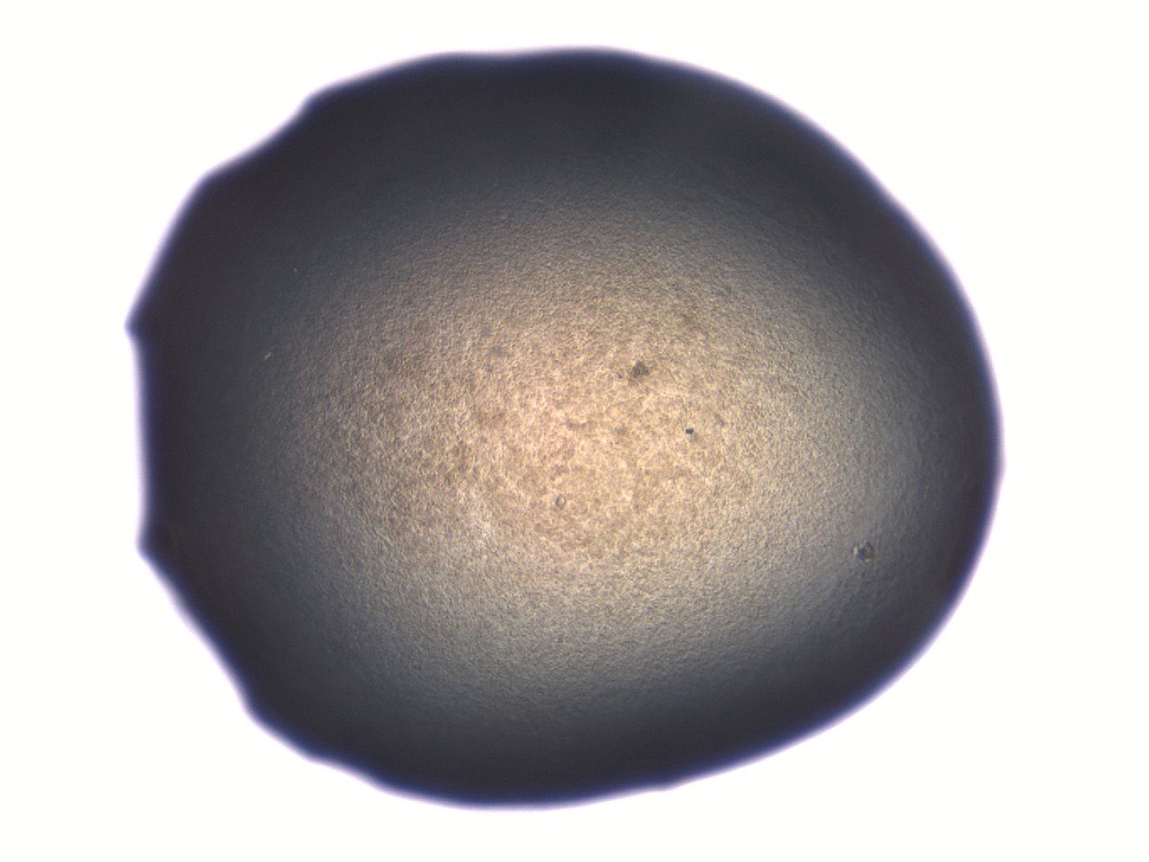 06aq_B5_ImagerDefaults_3.jpg