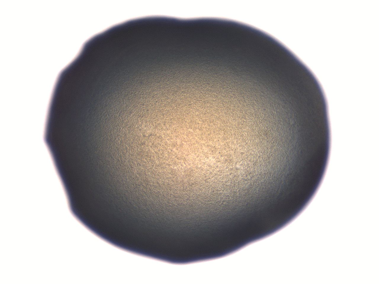 06aq_B6_ImagerDefaults_3.jpg