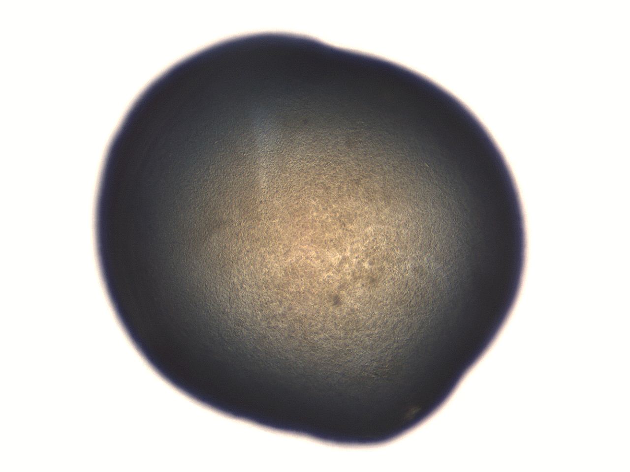 06aq_B7_ImagerDefaults_3.jpg