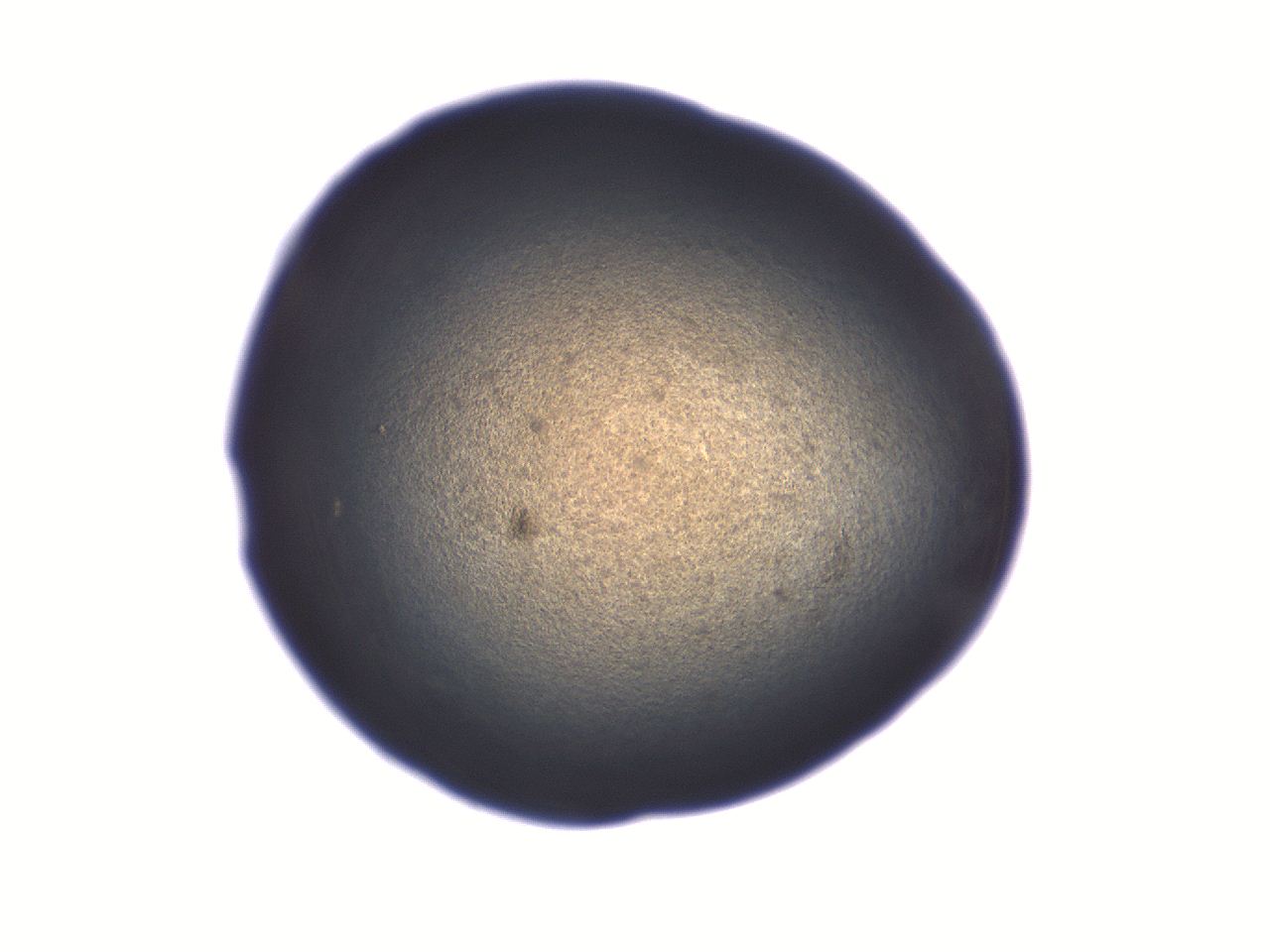 06aq_B8_ImagerDefaults_3.jpg