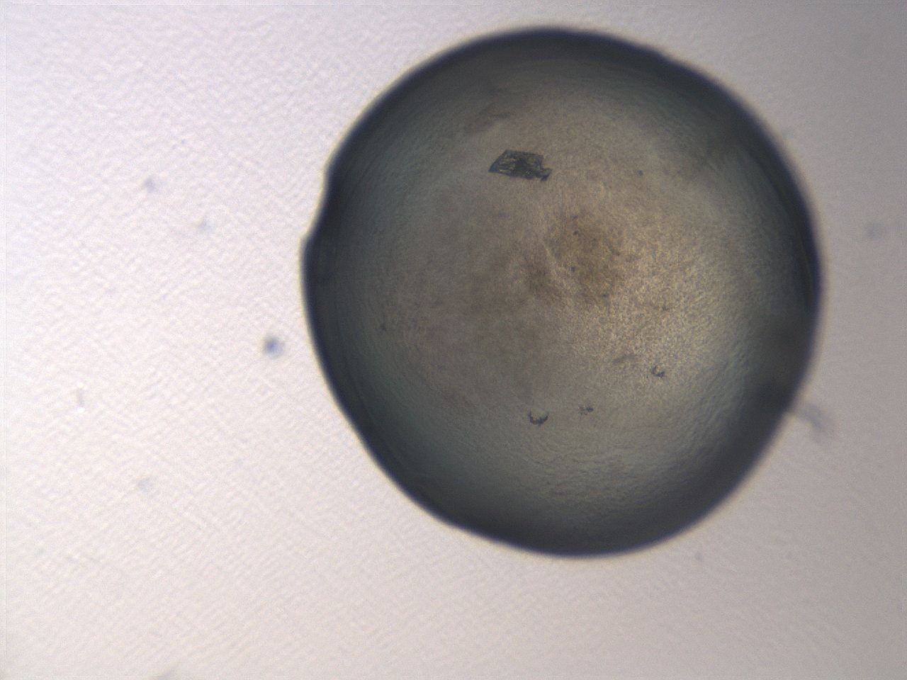 06aq_B10_ImagerDefaults_3.jpg