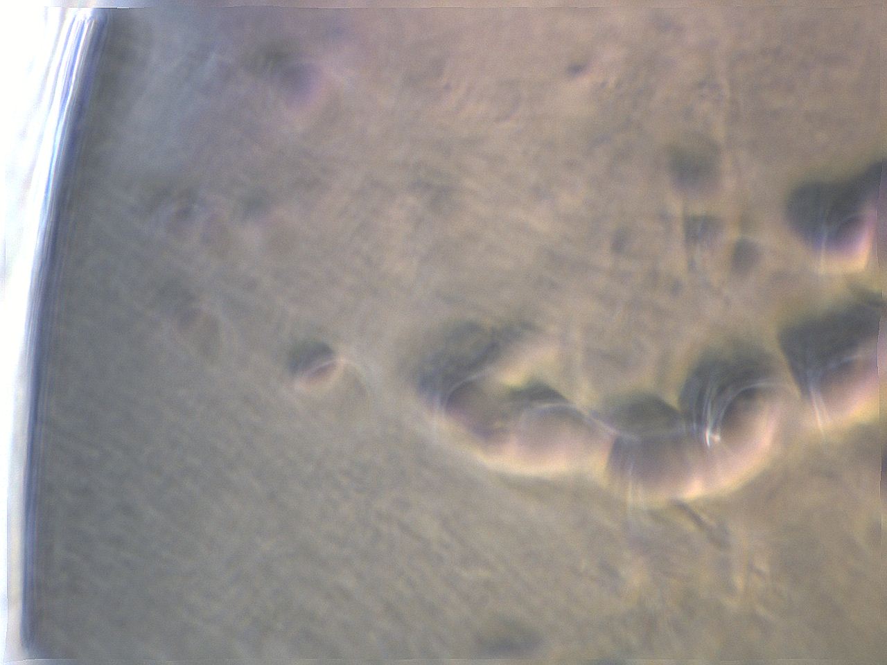 06aq_B11_ImagerDefaults_m.jpg