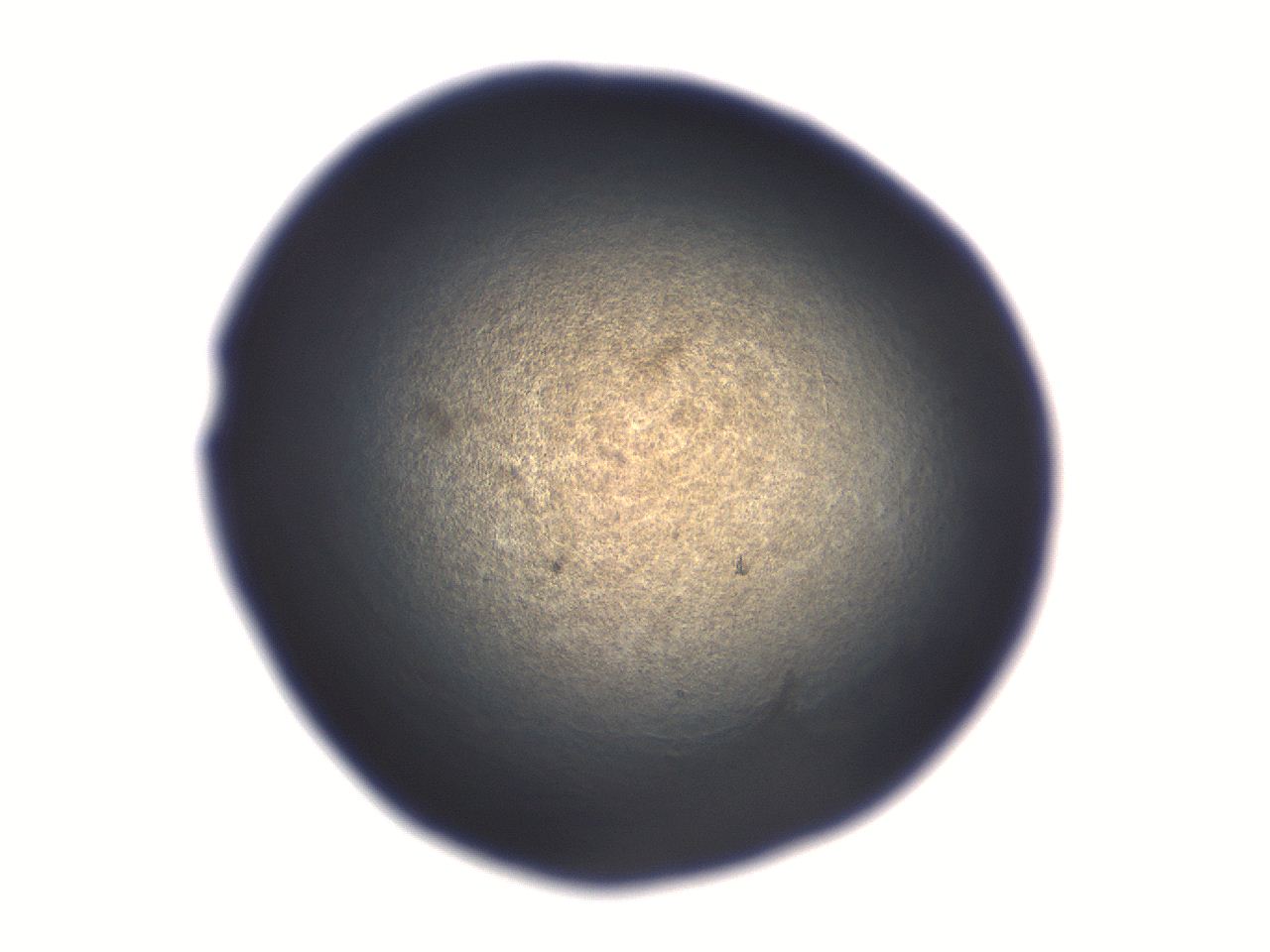 06aq_B12_ImagerDefaults_3.jpg