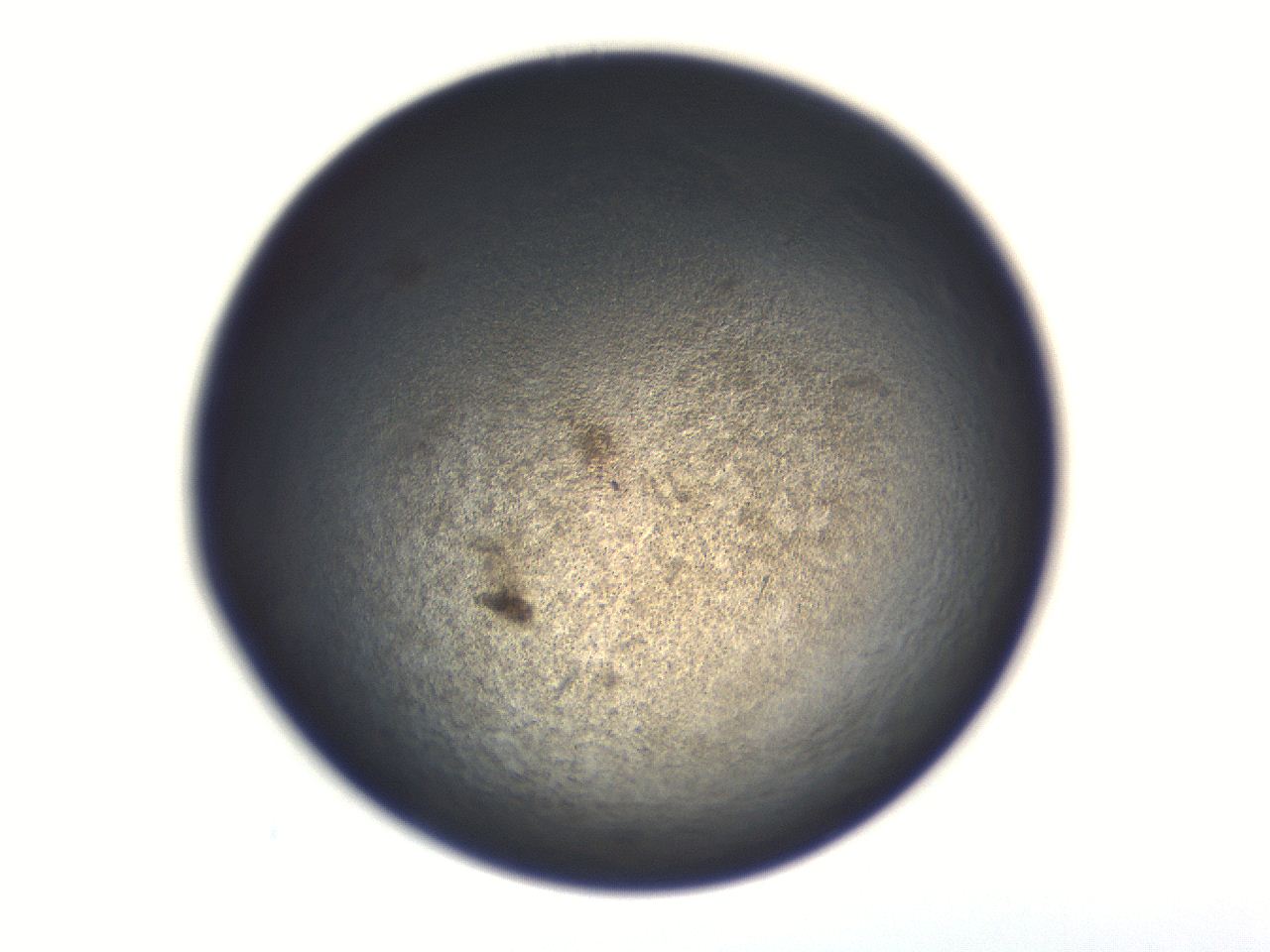 06aq_C1_ImagerDefaults_3.jpg