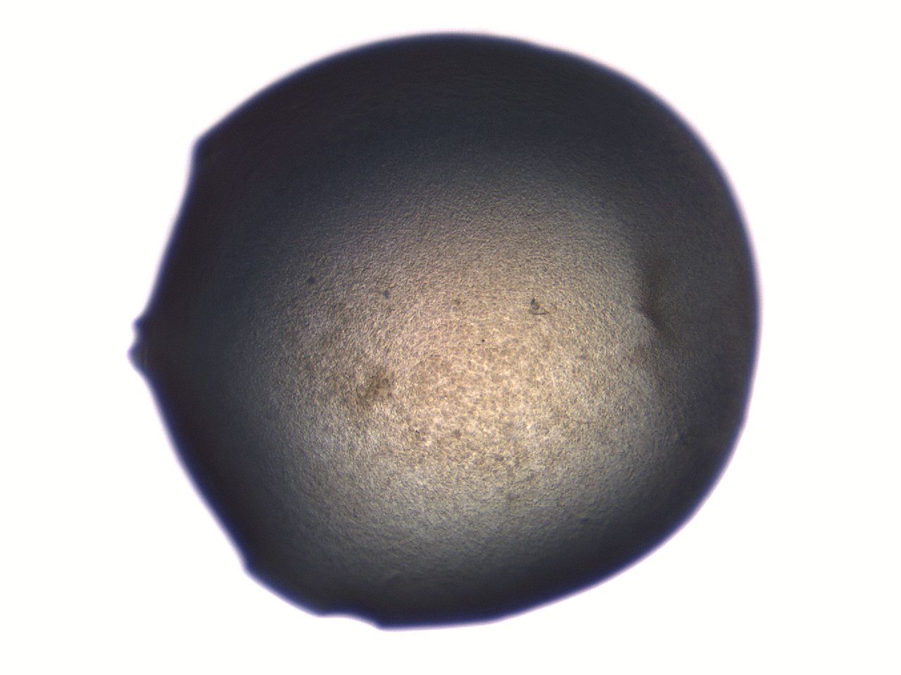 06aq_C2_ImagerDefaults_3.jpg