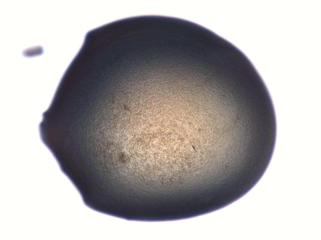 06aq_C3_ImagerDefaults_3.jpg