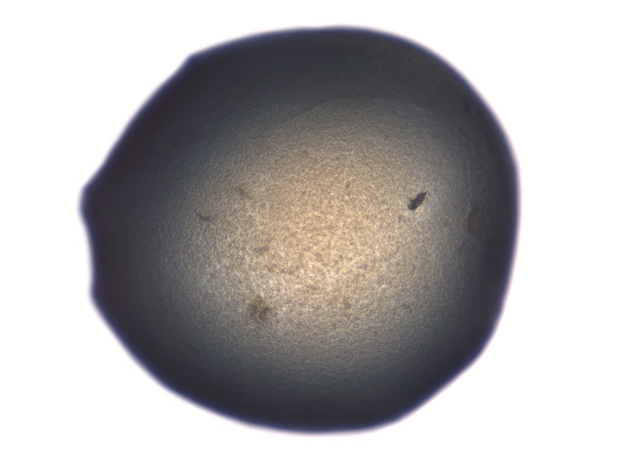 06aq_C7_ImagerDefaults_3.jpg