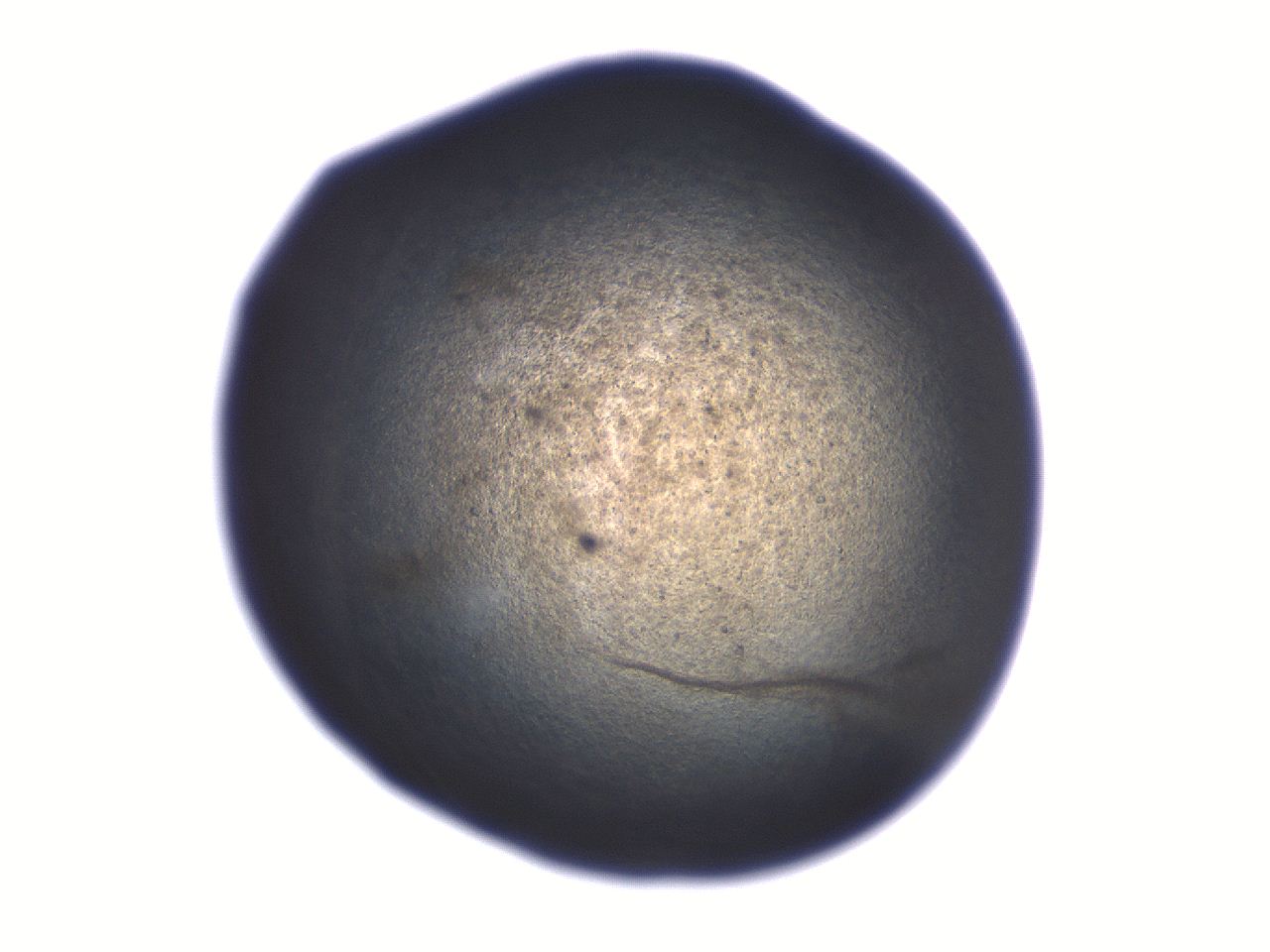 06aq_C10_ImagerDefaults_3.jpg